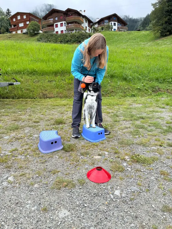 Eine Frau, die auf einem Feld neben einem Hund steht und ein Objekt in der Hand hält. Rasse: Sibirischer Husky. – Jugend und Hund Lager 2025 in Segnas