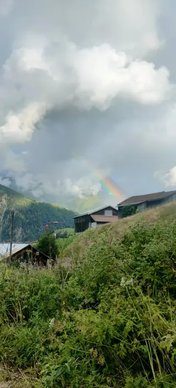 Das Bild zeigt einen Regenbogenbogen über einem kleinen Dorf in der Mitte eines Feldes, umgeben von Pflanzen, Bäumen und Häusern. – Jugend und Hund Lager 2025 in Segnas
