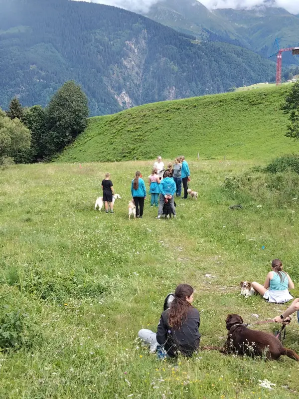 Eine Gruppe von Menschen auf einem üppigen grünen Hügel, umgeben von Bäumen und Pflanzen. Rasse: Labrador Retriever. – Jugend und Hund Lager 2025 in Segnas