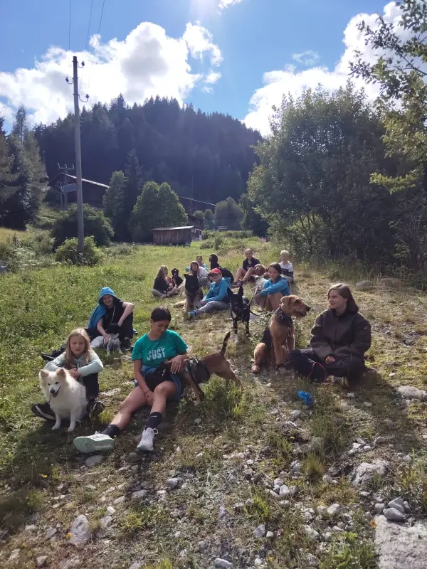 Eine Gruppe von Menschen, die auf einem grasbedeckten Hang sitzen, von denen einige Hunde halten. Rassen: Zwergspitz, Airedale Terrier. – Jugend und Hund Lager 2025 in Segnas