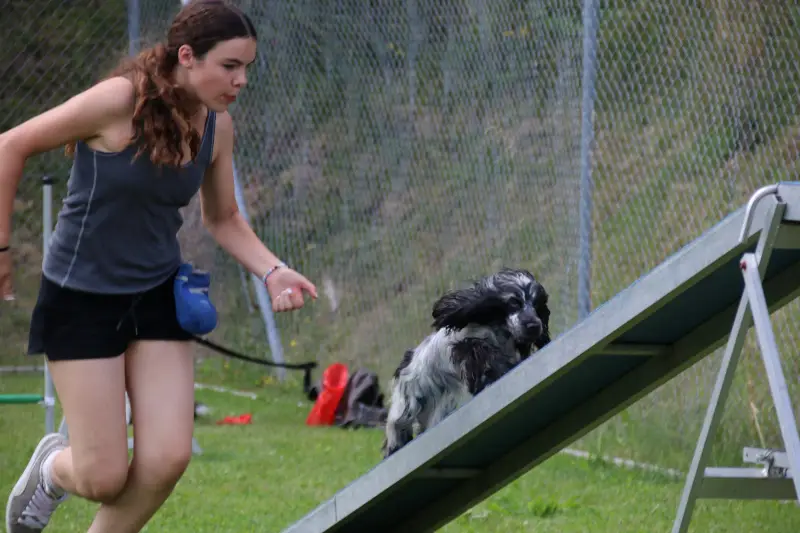 Eine Frau, die auf einer Rampe mit einem Hund an der Leine läuft. Rasse: Cocker Spaniel. – Jugend und Hund Lager 2025 in Segnas