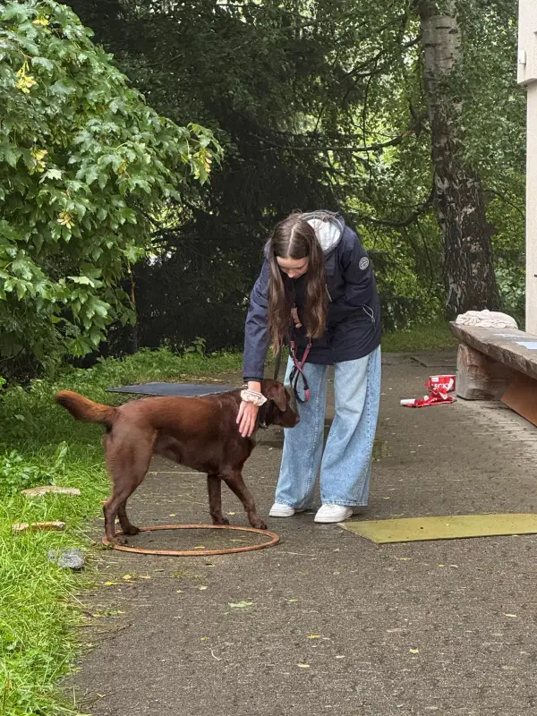 Eine Frau, die auf einem Bürgersteig steht und einen braunen Hund mit einer Leine streichelt. Rasse: Australian Kelpie. – Jugend und Hund Lager 2025 in Segnas