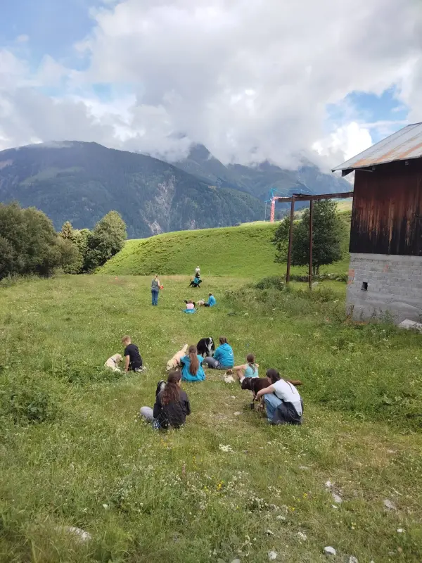 Eine Gruppe von Menschen auf einem üppigen grünen Feld in den Schweizer Alpen, umgeben von Bäumen und Hügeln. – Jugend und Hund Lager 2025 in Segnas