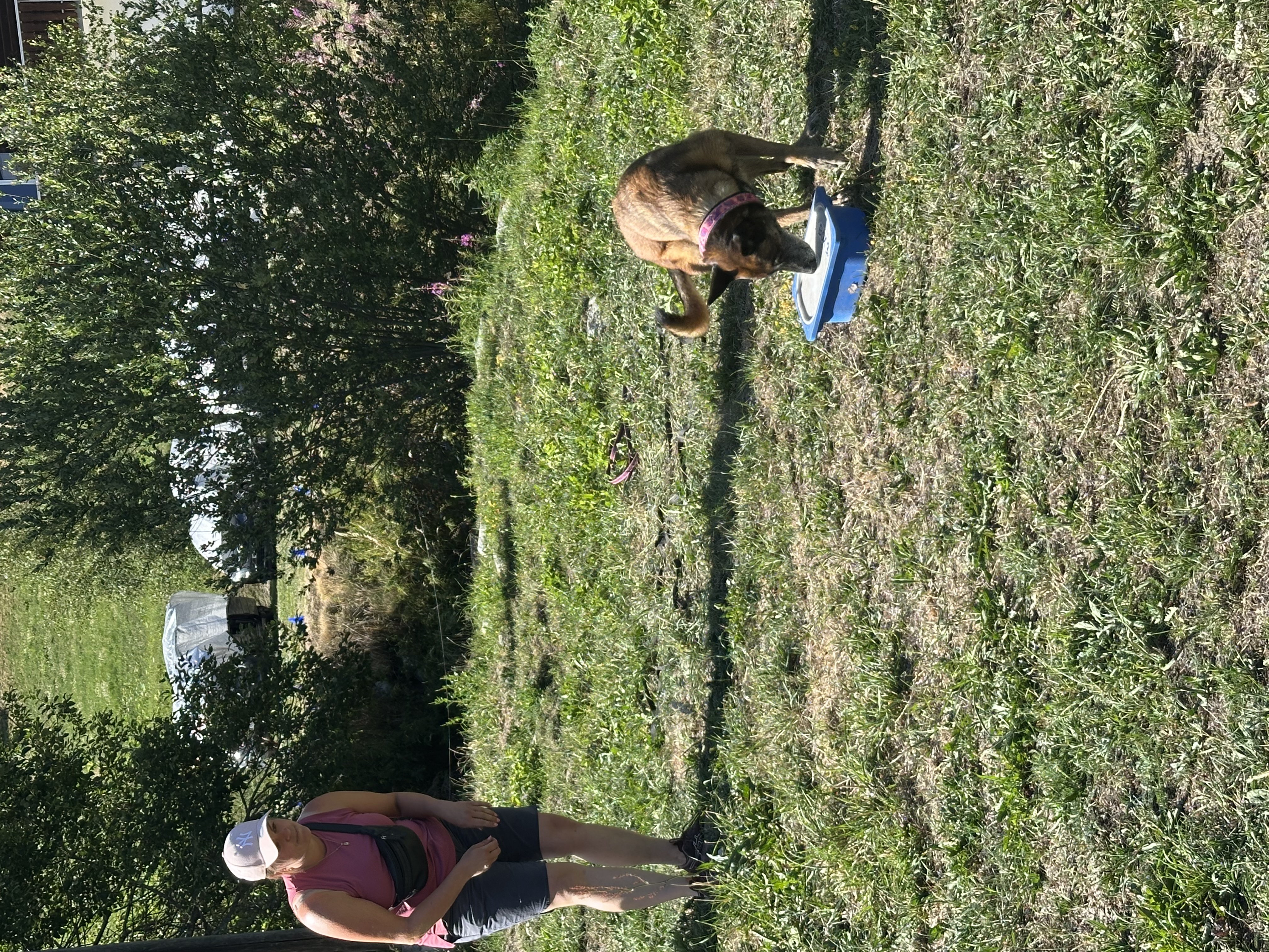 Das Bild zeigt eine Frau, die im Gras neben einem Hund steht, mit einem Eimer in der Hand. Sie trägt ein rosa und schwarzes Kleid und eine Mütze, und im Hintergrund sind Bäume. Hunderassen: Hund. Aktivität: Chillen (chill).