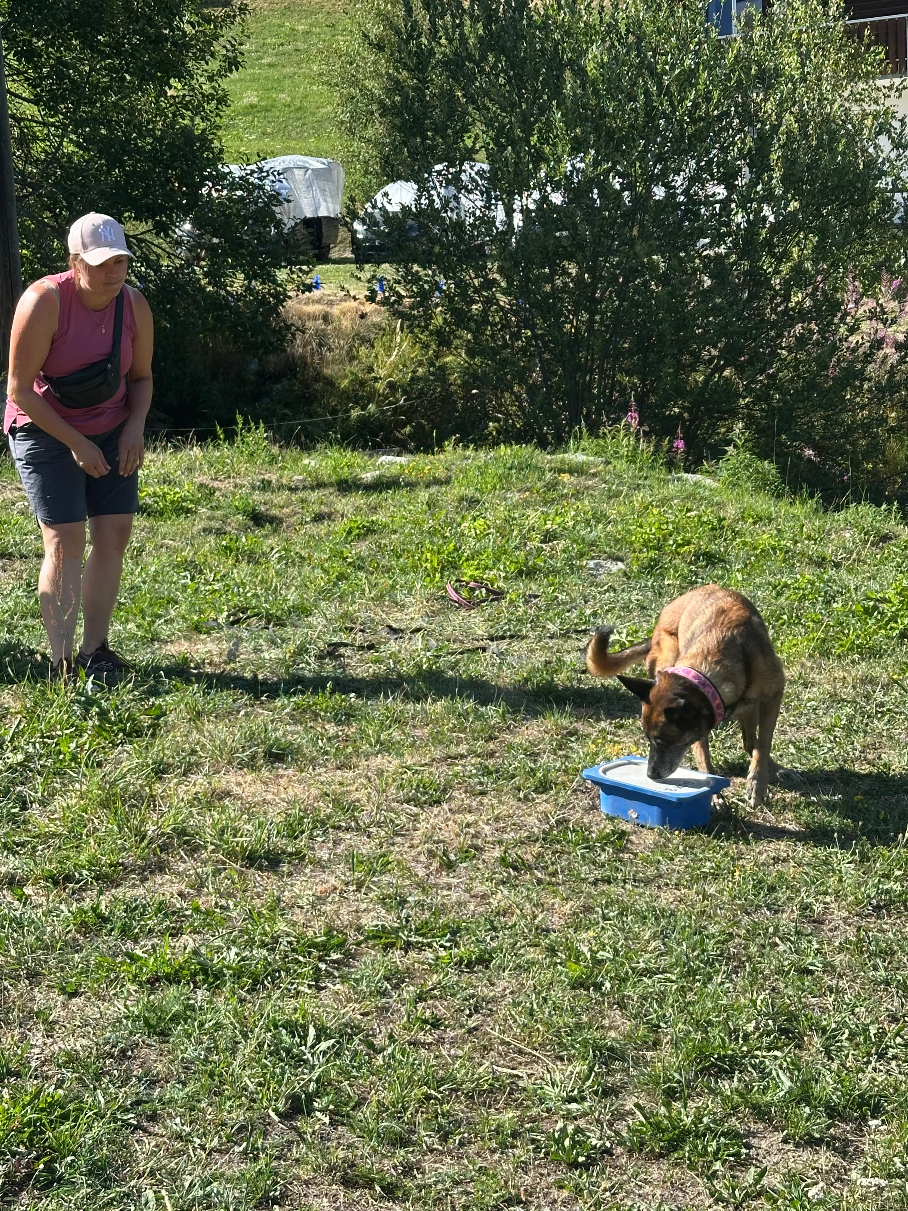 Das Bild zeigt eine Frau, die im Gras neben einem Hund steht, mit einem Eimer in der Hand. Sie trägt ein rosa und schwarzes Kleid und eine Mütze, und im Hintergrund sind Bäume. Hunderassen: Hund. Aktivität: Chillen (chill).