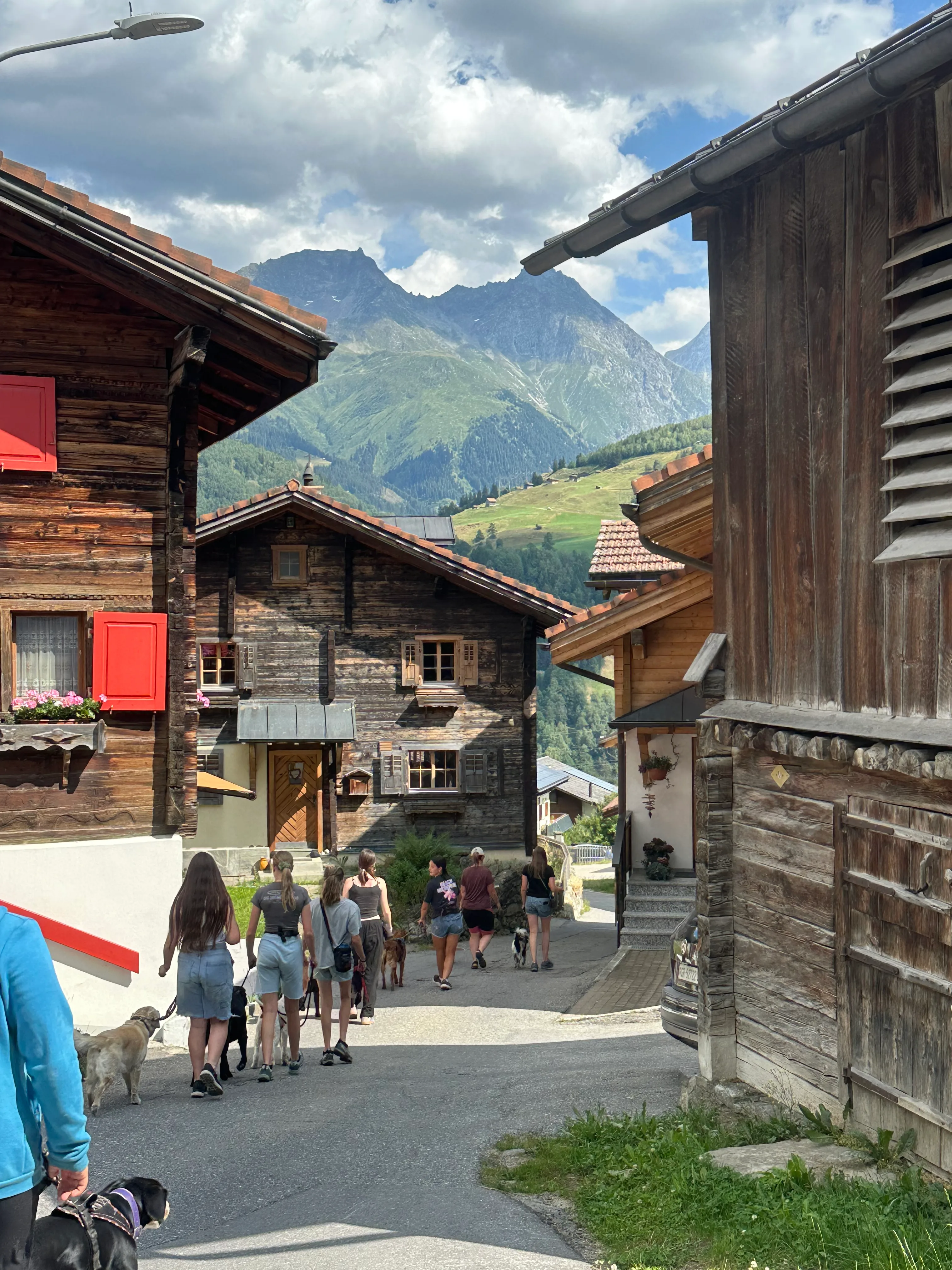 Das Bild zeigt eine Gruppe von Menschen, die vor einem hölzernen Gebäude mit einer roten Tür stehen, umgeben von Gras und einer Straße. Im Hintergrund gibt es Hügel und einen Himmel mit Wolken. Eine Person trägt einen Hut und einen Wanderschuh. Hunderassen: Hund, Hund, Hund. Aktivität: Chillen (chill).