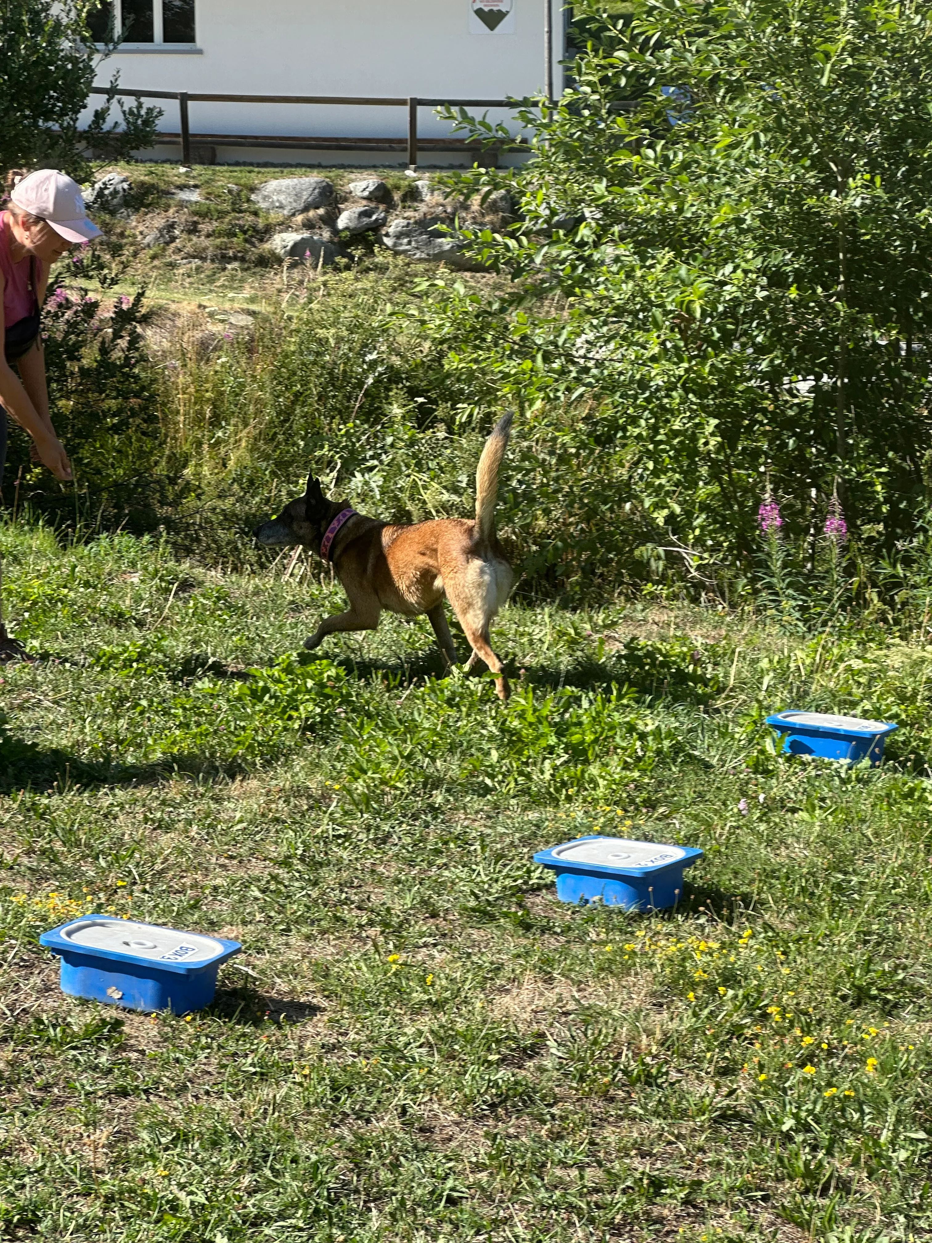 Das Bild zeigt eine Frau, die auf dem Gras neben einem Hund sitzt und einen Hut trägt. Im Hintergrund befinden sich Pflanzen, Bäume und blaue Objekte, sowie ein Gebäude mit Fenstern und einer Tür. Hunderassen: Hund. Aktivität: Chillen (chill).