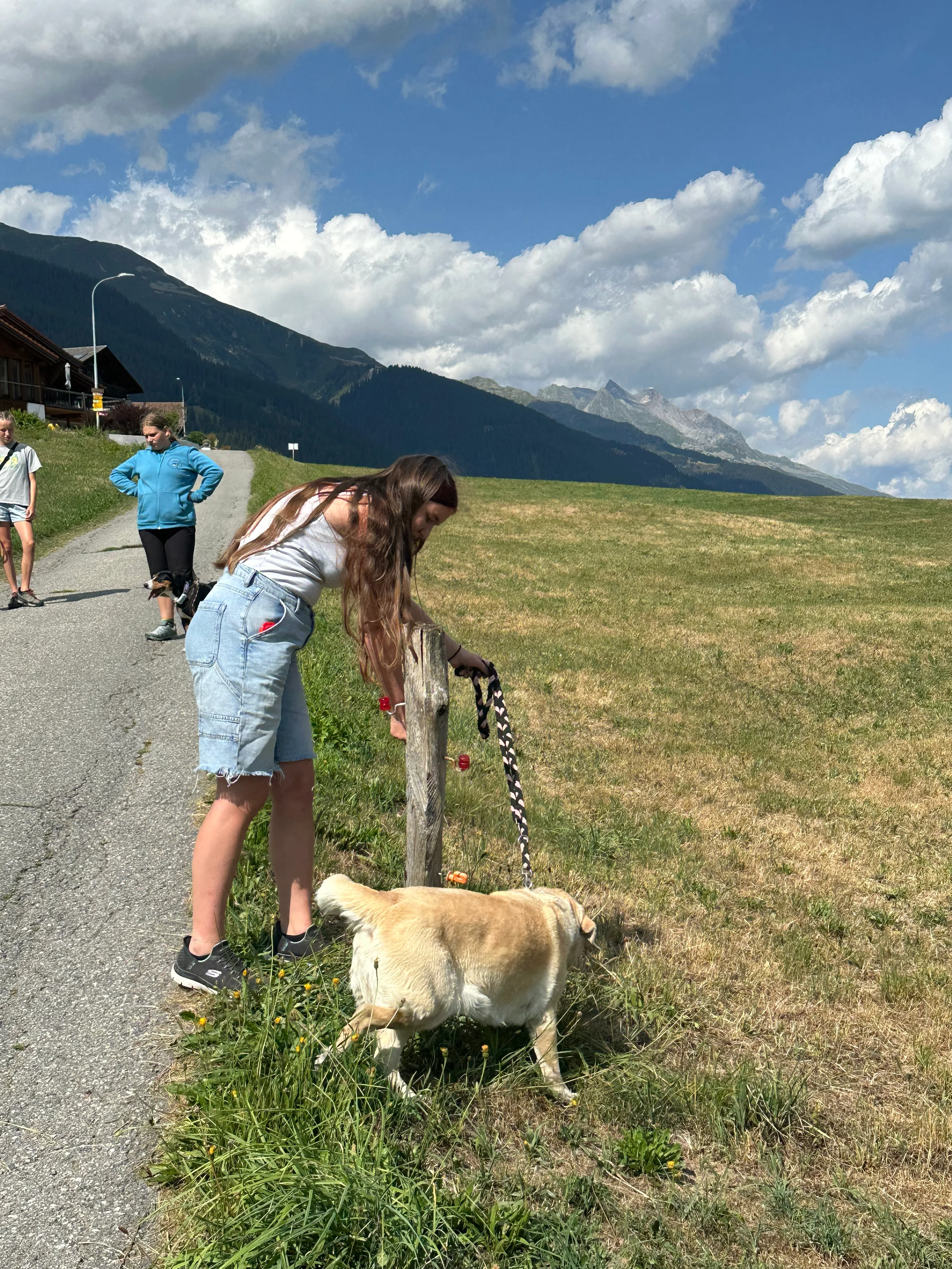 Das Bild zeigt eine Frau, die auf der Seite einer Straße neben einer Ziege steht. Sie trägt ein weißes und blaues Kleid und hält einen Gürtel am Hals der Ziege. Im Hintergrund gibt es ein Haus, einen Berg und einen klaren blauen Himmel. Hunderassen: Hund. Aktivität: Wandern (hiking).