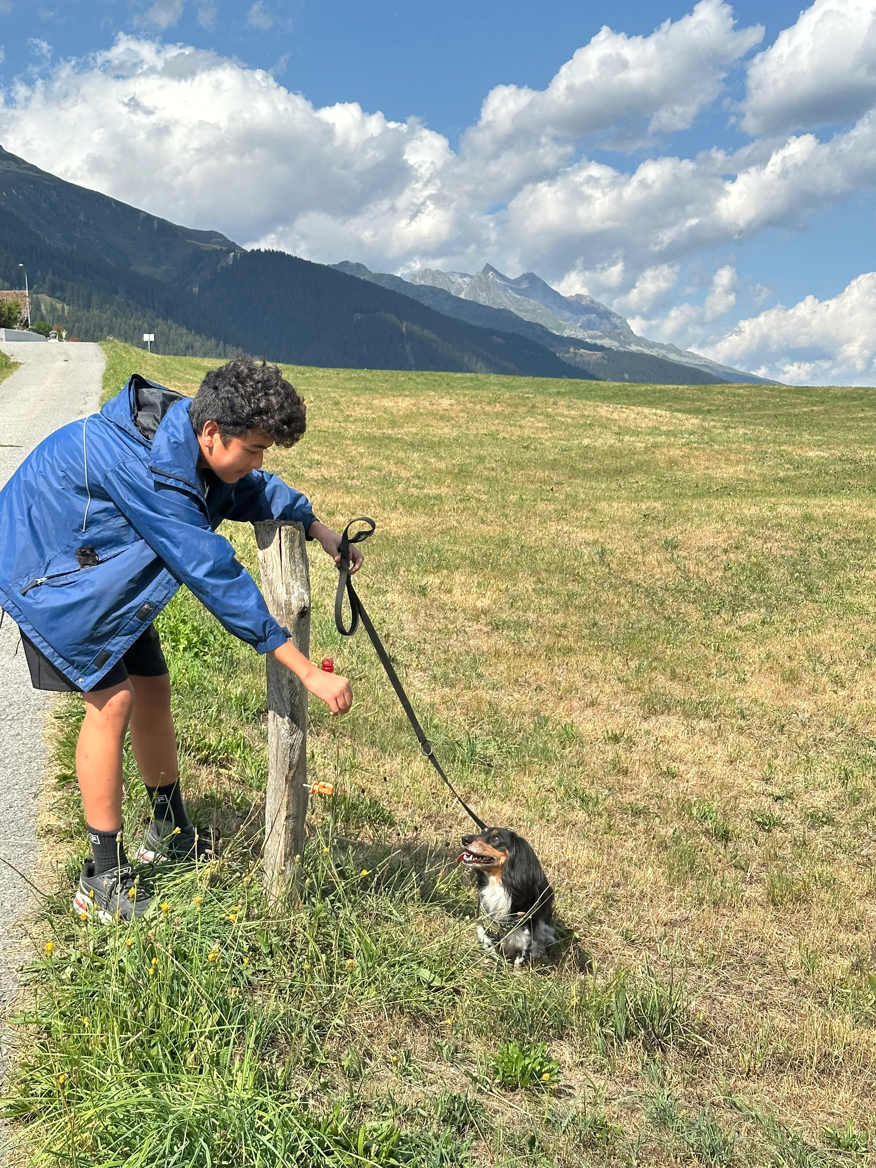 Das Bild zeigt einen Mann, der eine blaue Jacke und eine schwarze Hose trägt und eine Leine an einer Leine hält. Der Hund ist schwarz und weiß in Farbe und steht auf einem Grasfeld. Im Hintergrund gibt es einen Berg, ein paar Bäume und einen klaren blauen Himmel. Hunderassen: Hund. Aktivität: Wandern (hiking).