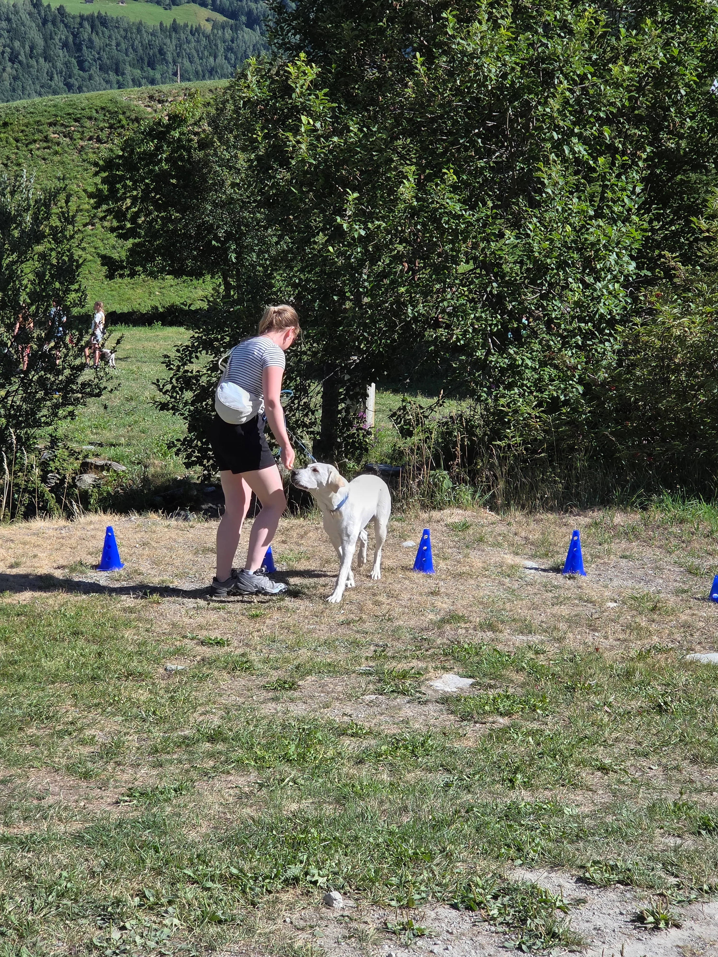 Das Bild zeigt eine Frau in einem weißen Hemd und schwarze Hosen, die auf einem grasbedeckten Feld stehen und einen weißen Hund in den Armen halten. Im Hintergrund gibt es Bäume, Pflanzen und einen klaren blauen Himmel. Hunderassen: Hund. Aktivität: Chillen (chill).