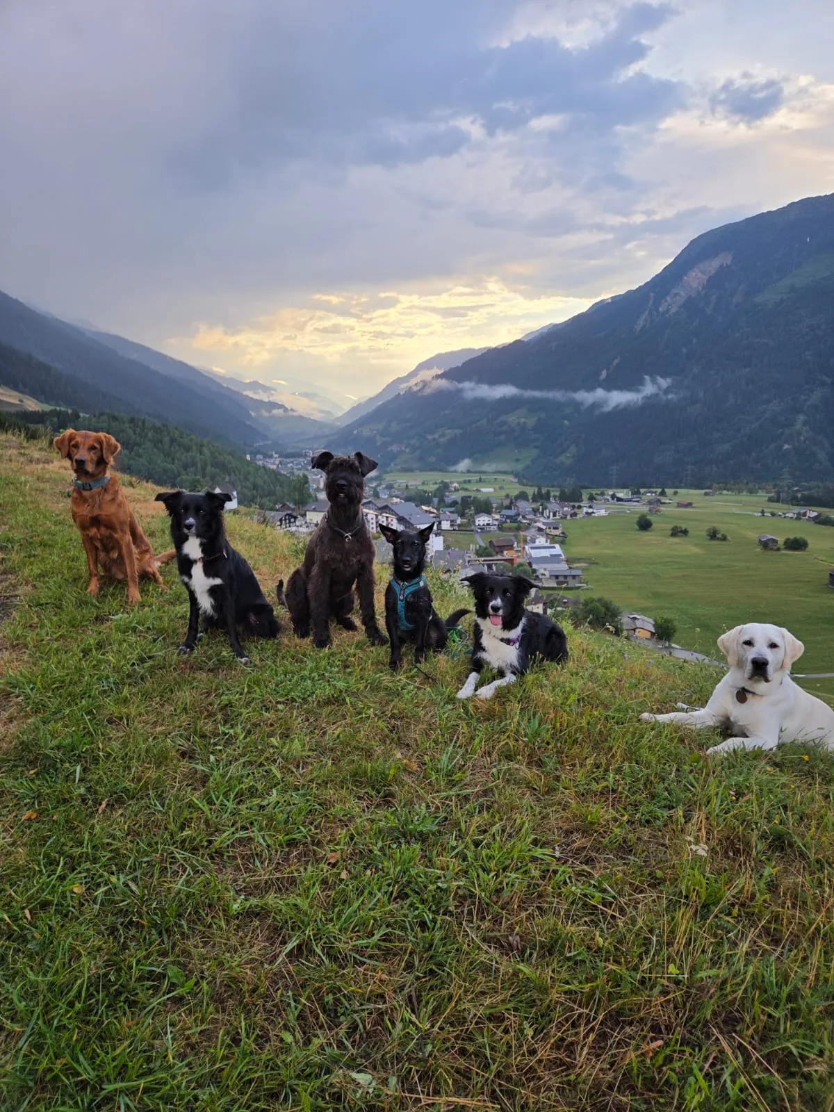 Tag 1 – Jugend und Hund Lager Segnas 2026