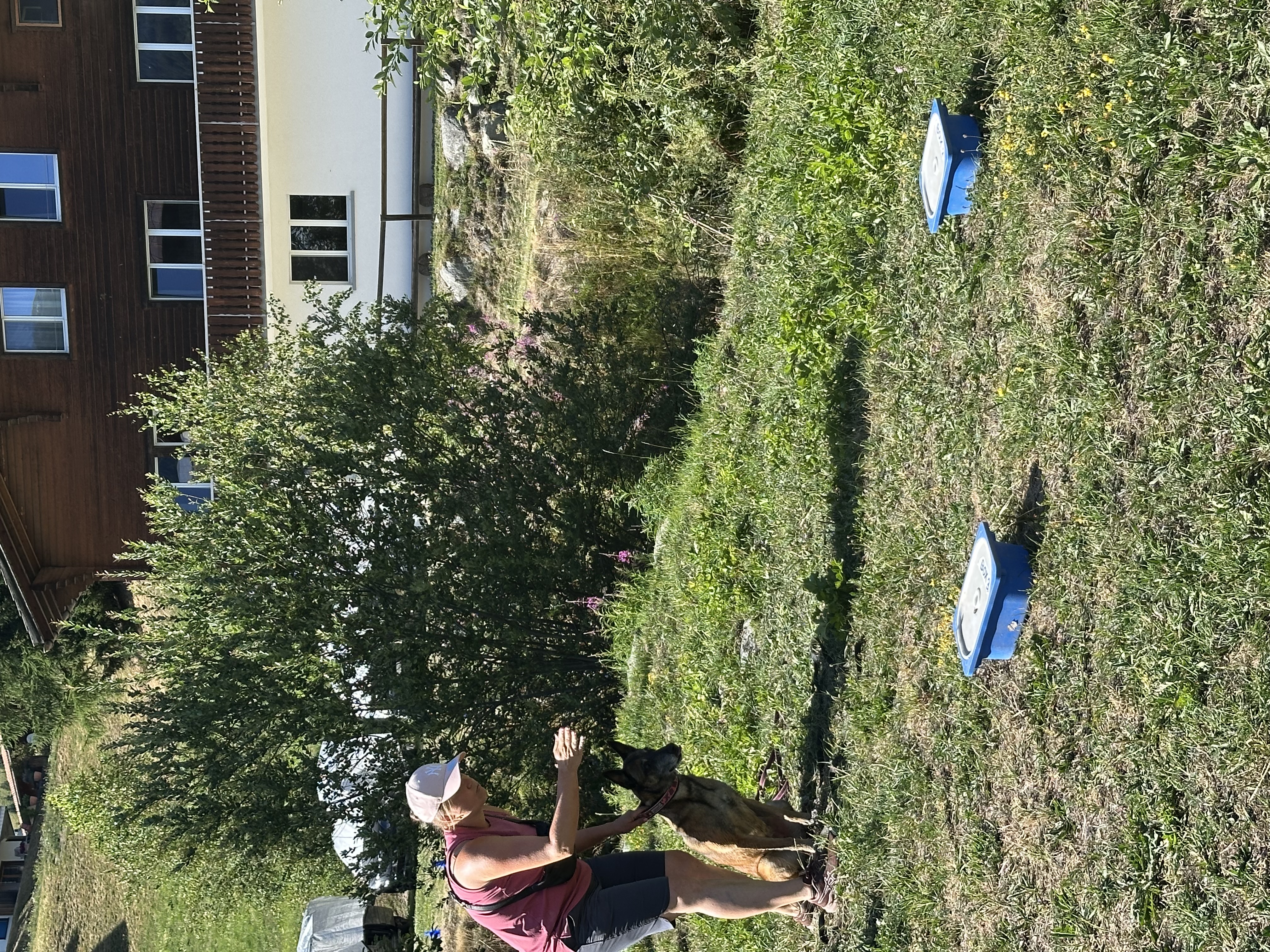 Das Bild zeigt eine Frau, die mit ihrem Hund im Gras steht und einen Hut trägt. Sie ist von Bäumen und Gebäuden mit Fenstern umgeben, und es gibt verschiedene Objekte, die um sie herum verstreut sind. Hunderassen: Hund. Aktivität: Chillen (chill).
