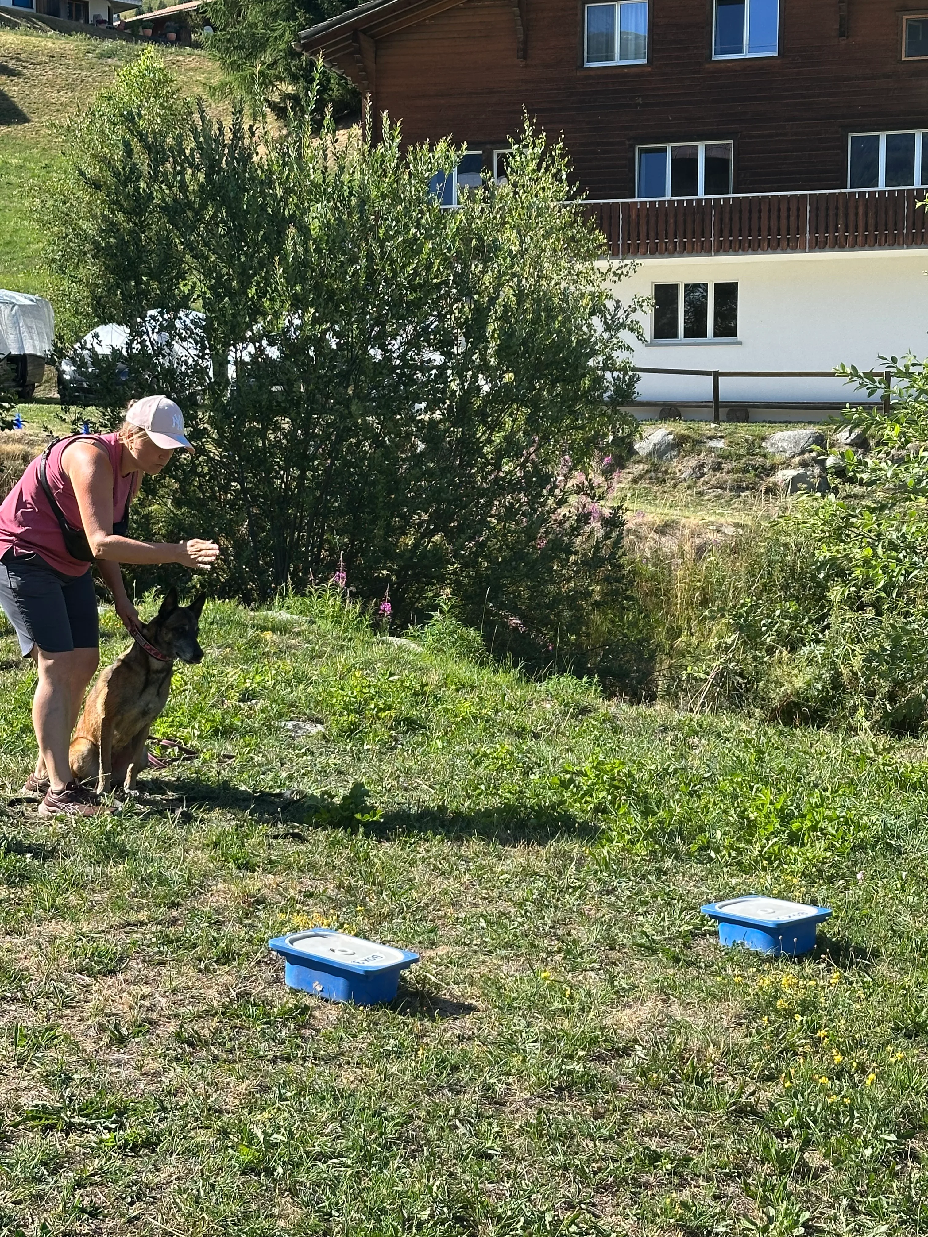 Das Bild zeigt eine Frau, die mit ihrem Hund im Gras steht und einen Hut trägt. Sie ist von Bäumen und Gebäuden mit Fenstern umgeben, und es gibt verschiedene Objekte, die um sie herum verstreut sind. Hunderassen: Hund. Aktivität: Chillen (chill).