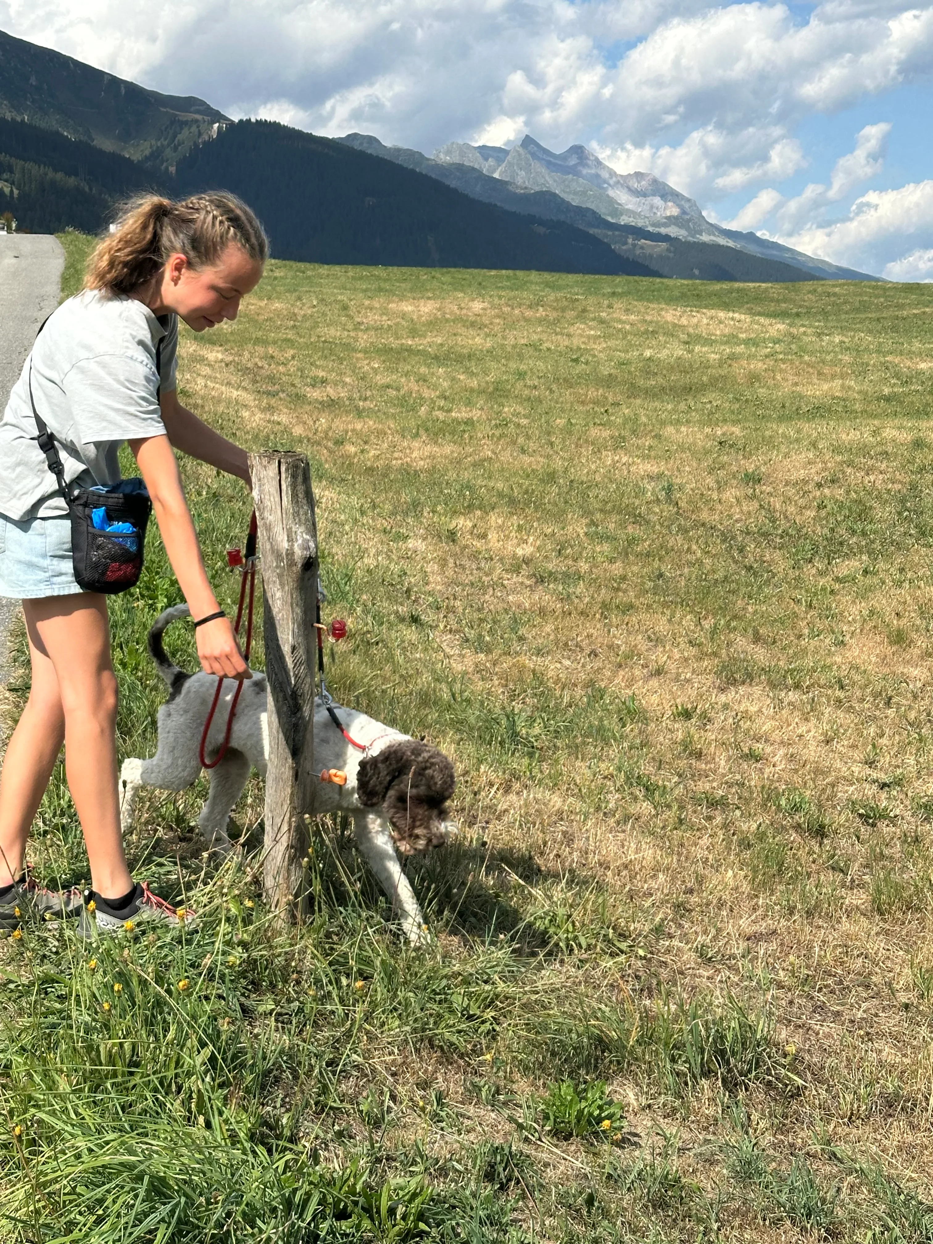Das Bild zeigt eine Frau, die auf einem grasbedeckten Hang neben einem Wasserkörper steht, mit einem Hund, der an ein hölzernes Objekt in den Händen gebunden ist. Sie trägt einen Rucksack und Turnschuhe, und der Himmel ist voller Wolken. Hunderassen: Hund. Aktivität: Wandern (hiking).
