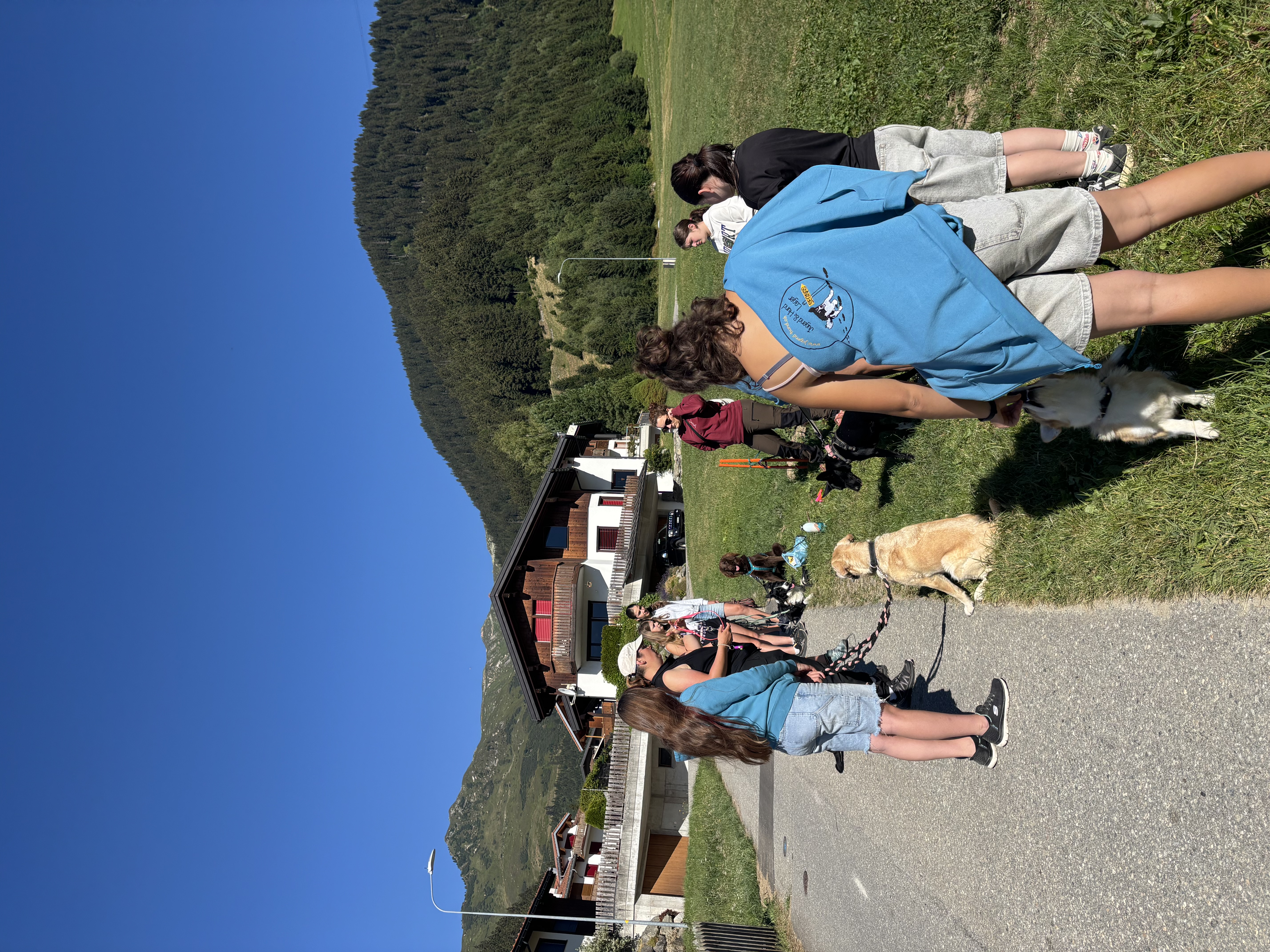 Das Bild zeigt eine Gruppe von Menschen, die mit ihren Hunden eine Straße entlang gehen, die von Gras, Bäumen, Gebäuden, Stöcken und einem klaren blauen Himmel umgeben ist. Hunderassen: Hund, Hund. Aktivität: Chillen (chill).