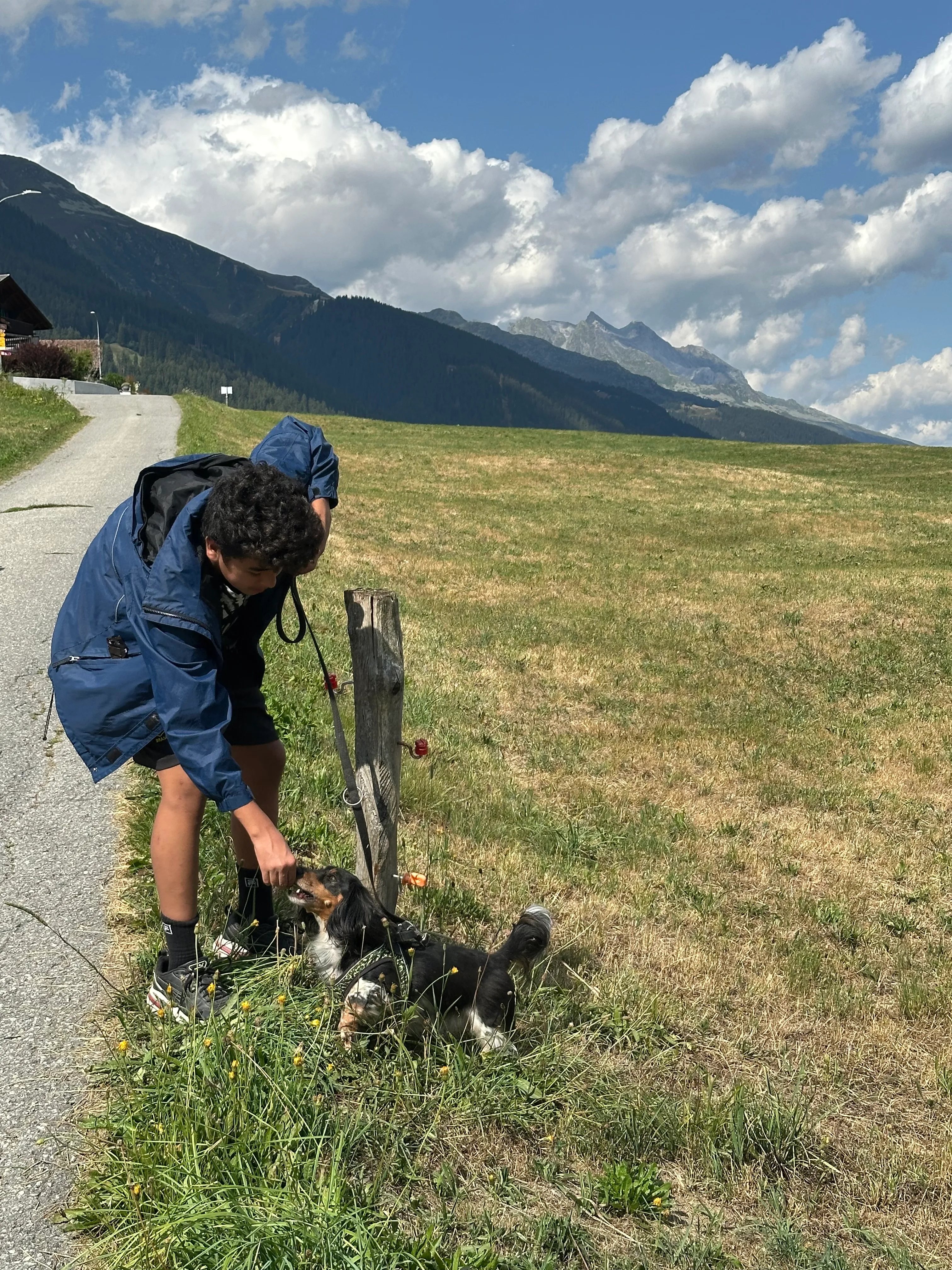 Das Bild zeigt einen Mann, der auf der Seite einer Straße neben einem Berg steht, eine blaue Jacke trägt und einen Rucksack trägt. Er hält einen Hund an der Leine, und es ist ein hölzernes Objekt vor ihm. Der Himmel ist eine Mischung aus blau und weiß, und der Berg ist mit üppig grünem Gras bedeckt. Hunderassen: Gordon Setter. Aktivität: Wandern (hiking).