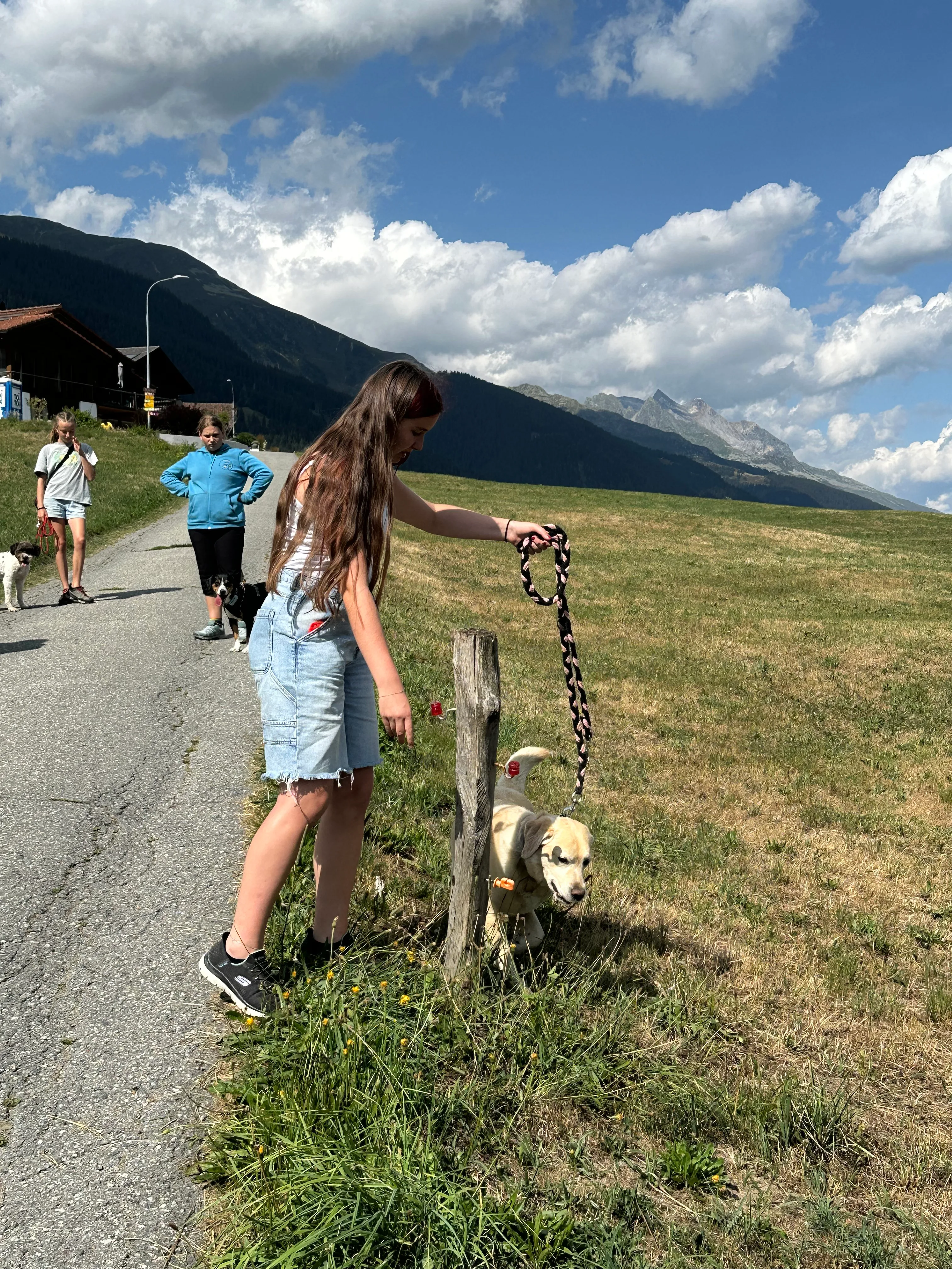 Das Bild zeigt eine Frau, die auf der Seite einer Straße neben einem Berg steht und eine Kette in der Hand hält. Sie trägt Turnschuhe und einen Hut, und auf beiden Seiten stehen ein paar Leute. Der Himmel ist mit Wolken gefüllt und der Boden ist mit Gras bedeckt. Hunderassen: Hund, Hund. Aktivität: Wandern (hiking).