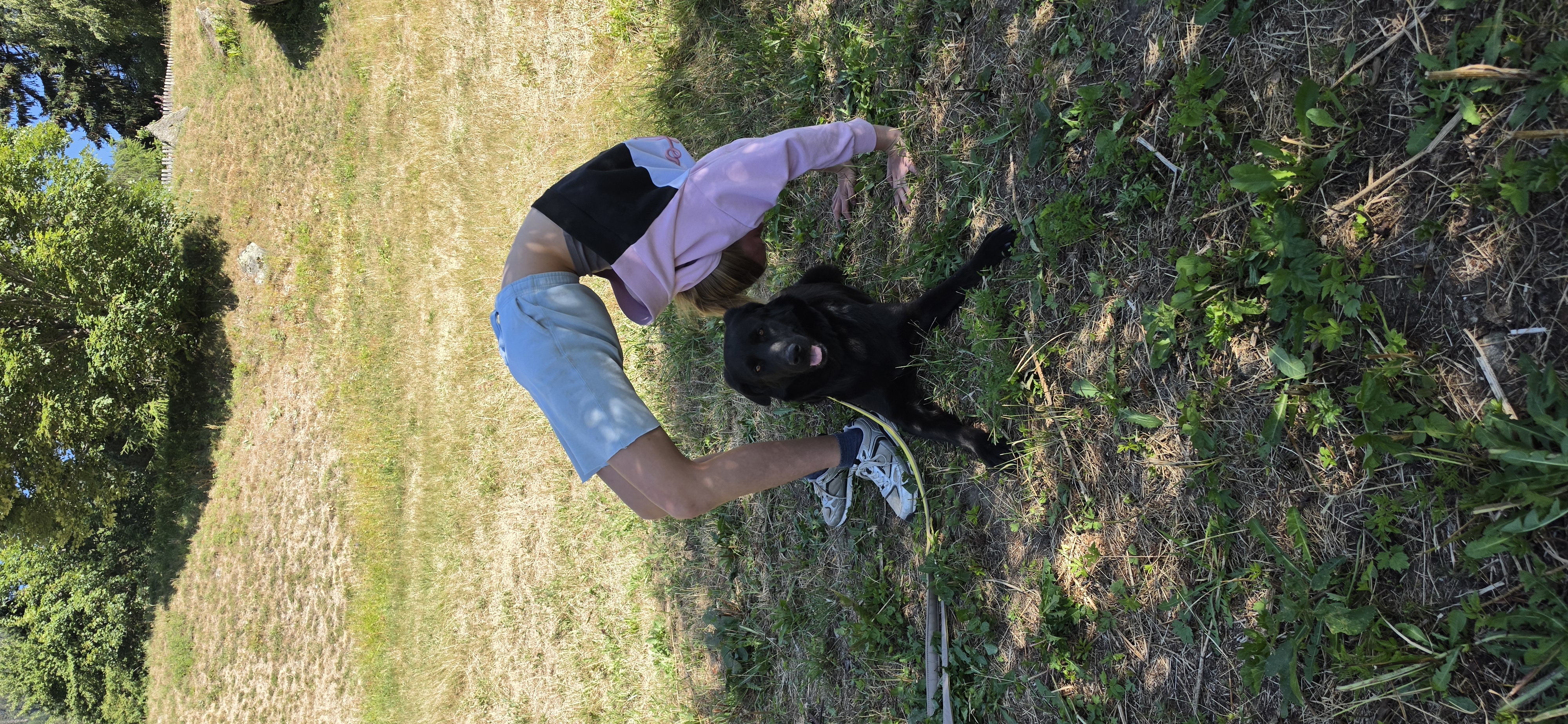 Das Bild zeigt eine Frau in einem rosa Hemd und blaue Shorts, die mit einem schwarzen Hund in einem grasigen Bereich spielen, umgeben von Bäumen und einem klaren blauen Himmel. Hunderassen: Flat-Coated Retriever. Aktivität: Chillen (chill).