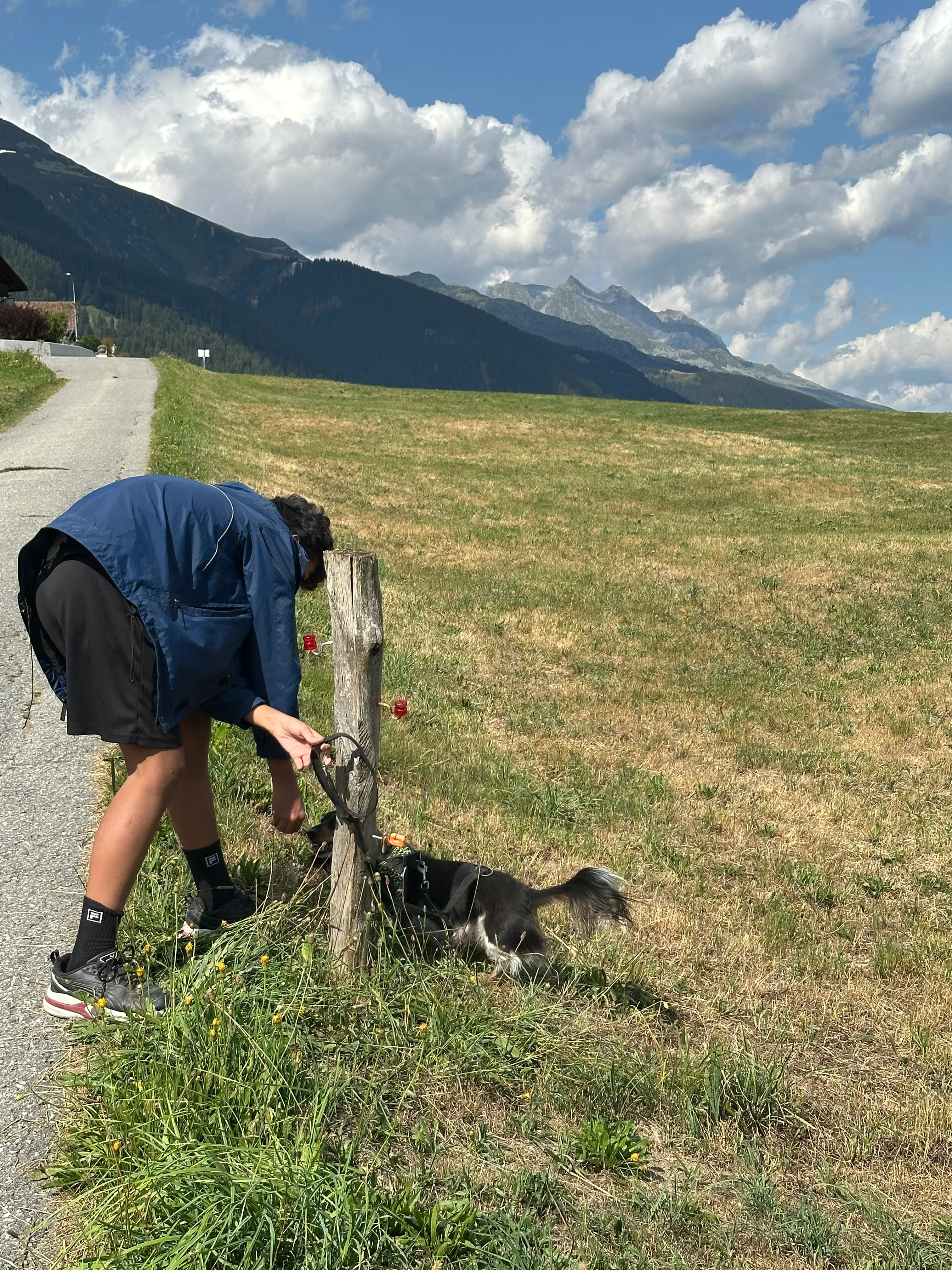 Das Bild zeigt einen Mann, der auf der Seite einer Straße neben einem Pferd sitzt und eine blaue Jacke und schwarze Shorts trägt. Er hält ein Objekt in der Hand und es ist ein Holzpfahl vor ihm. Der Hintergrund des Bildes ist mit üppig grünem Gras, einem Berg und einem klaren blauen Himmel gefüllt. Hunderassen: Hund. Aktivität: Wandern (hiking).