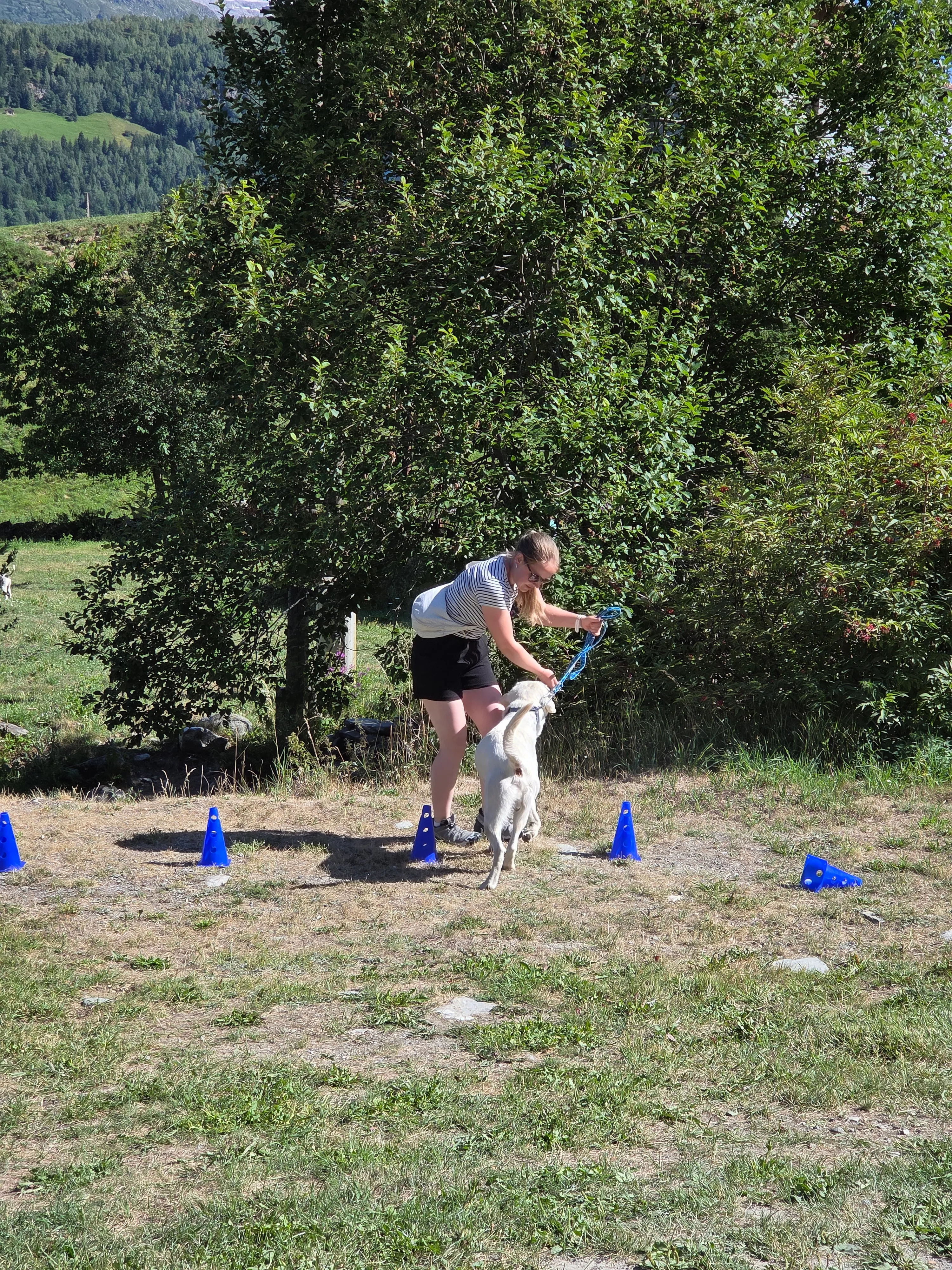 Das Bild zeigt eine Frau in einem weißen Hemd und schwarze Shorts stehen auf einem üppigen grünen Hügel, halten einen Hund in den Armen. Sie ist von Bäumen und blauen Objekten auf dem Gras umgeben, und im Hintergrund gibt es mehr Bäume und einen klaren blauen Himmel. Hunderassen: Hund. Aktivität: Chillen (chill).