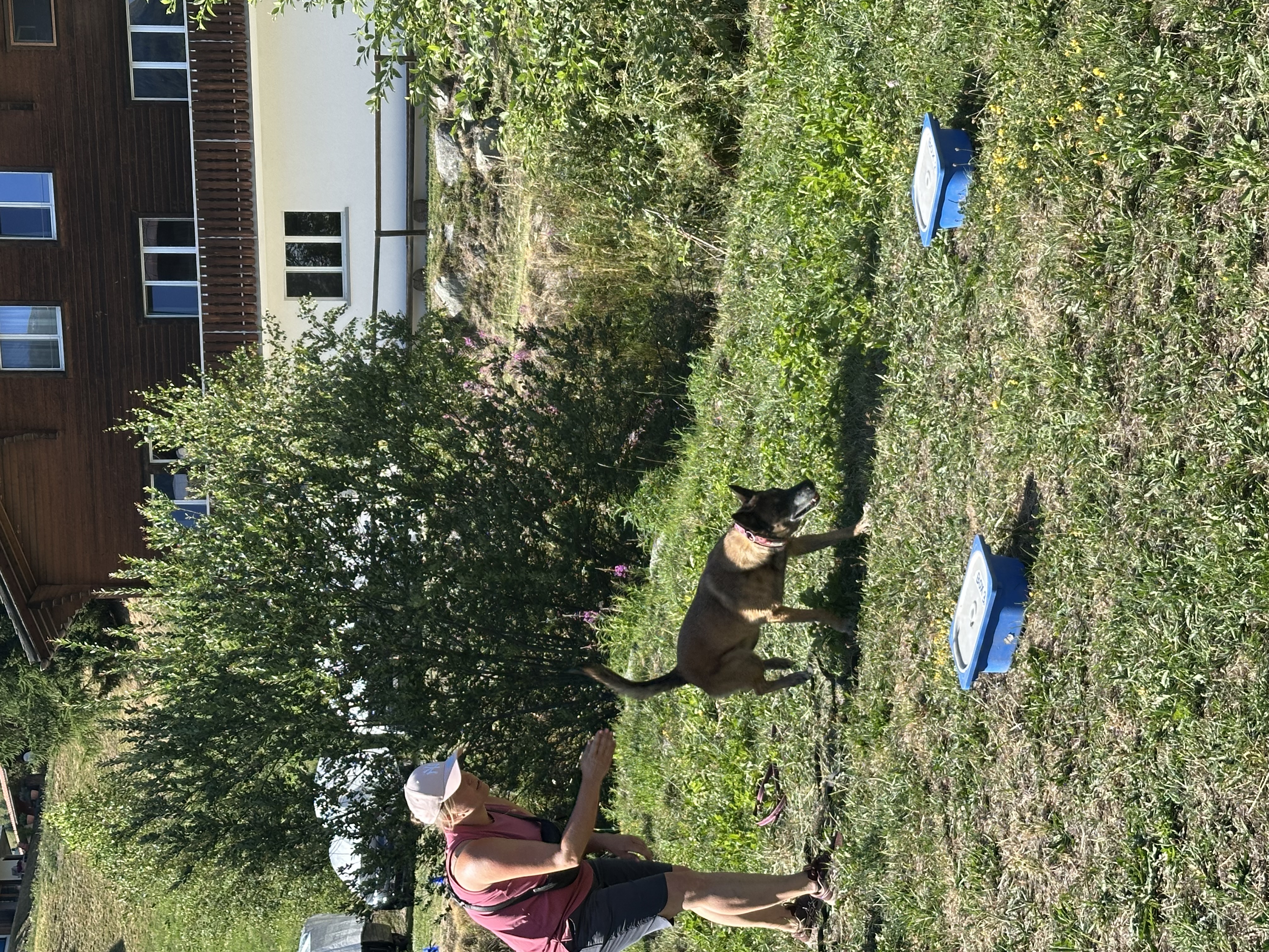 Das Bild zeigt eine Frau, die mit einem Hund im Gras steht und einen Hut trägt, der von Bäumen, Pflanzen und einem Gebäude mit Fenstern im Hintergrund umgeben ist. Hunderassen: Malinois. Aktivität: Chillen (chill).