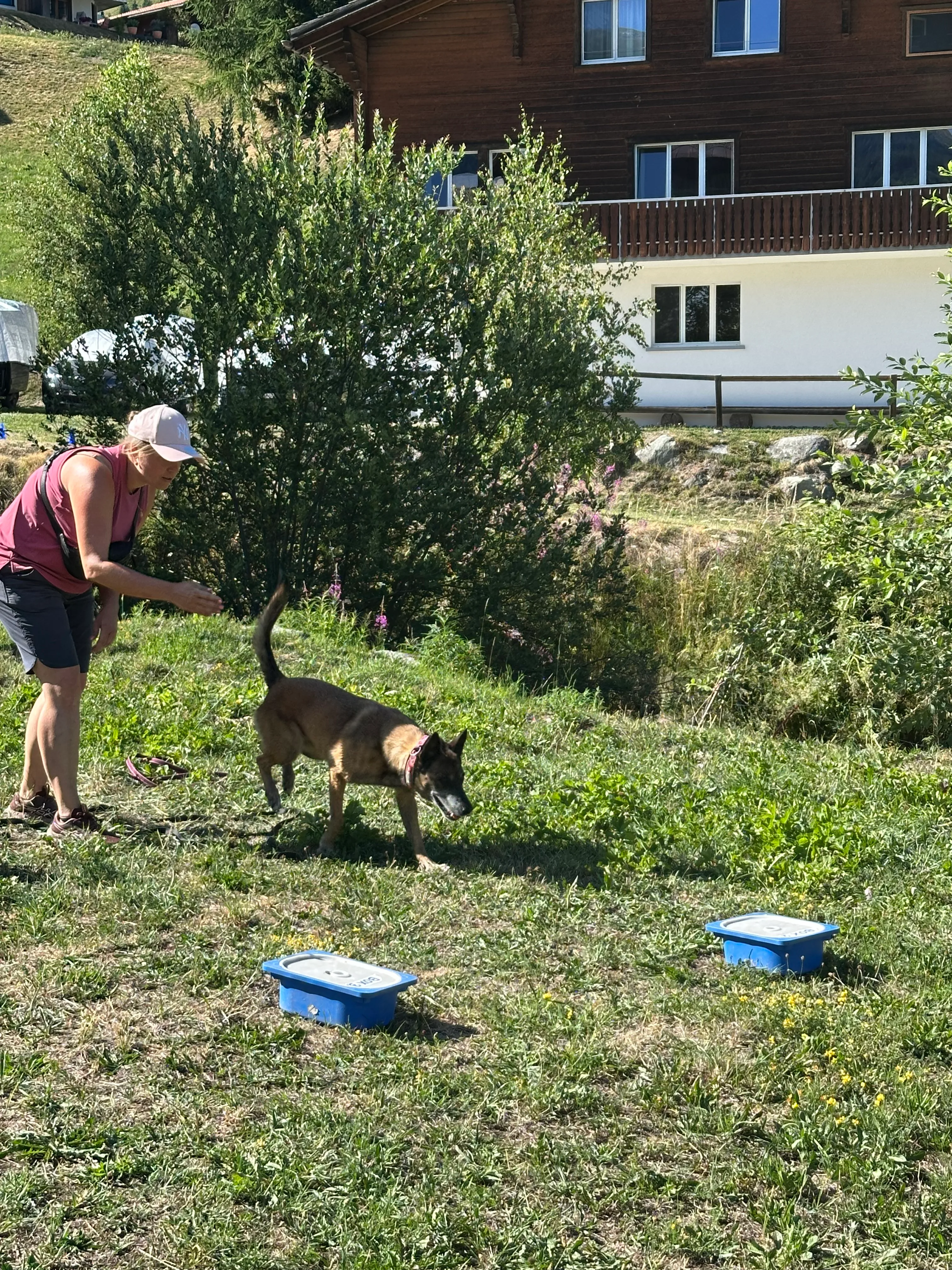 Das Bild zeigt eine Frau, die mit einem Hund im Gras steht und einen Hut trägt, der von Bäumen, Pflanzen und einem Gebäude mit Fenstern im Hintergrund umgeben ist. Hunderassen: Malinois. Aktivität: Chillen (chill).