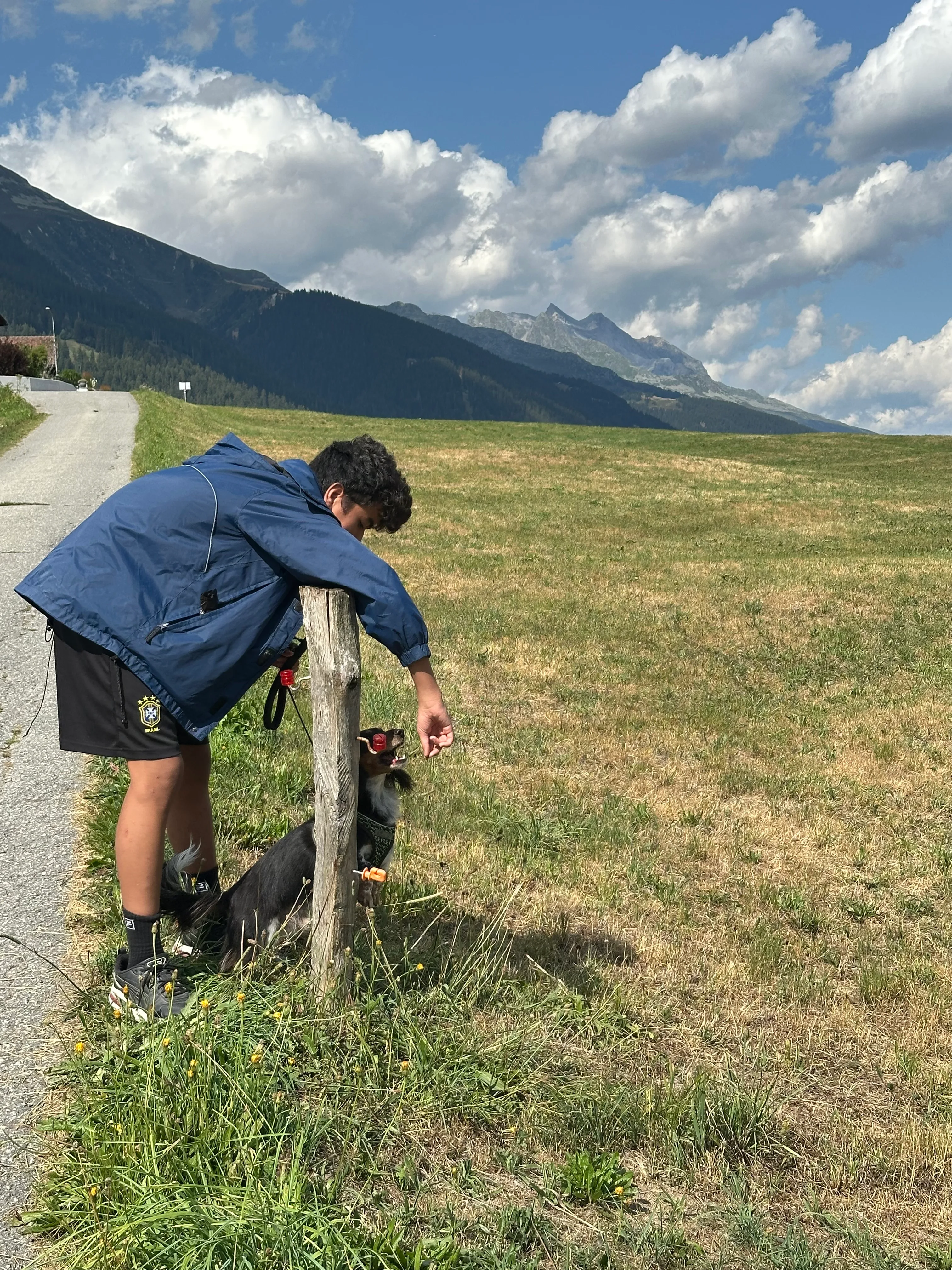 Das Bild zeigt einen Mann, der auf einem grasbedeckten Hang neben einem Wasserkörper steht. Er trägt eine blaue Jacke und schwarze Shorts und hält einen Holzstab in der Hand. Auf der rechten Seite des Bildes befindet sich ein Grasbereich mit ein paar Pflanzen und ein schwarzes Objekt. Im Hintergrund gibt es Berge und einen klaren blauen Himmel. Aktivität: Wandern (hiking).