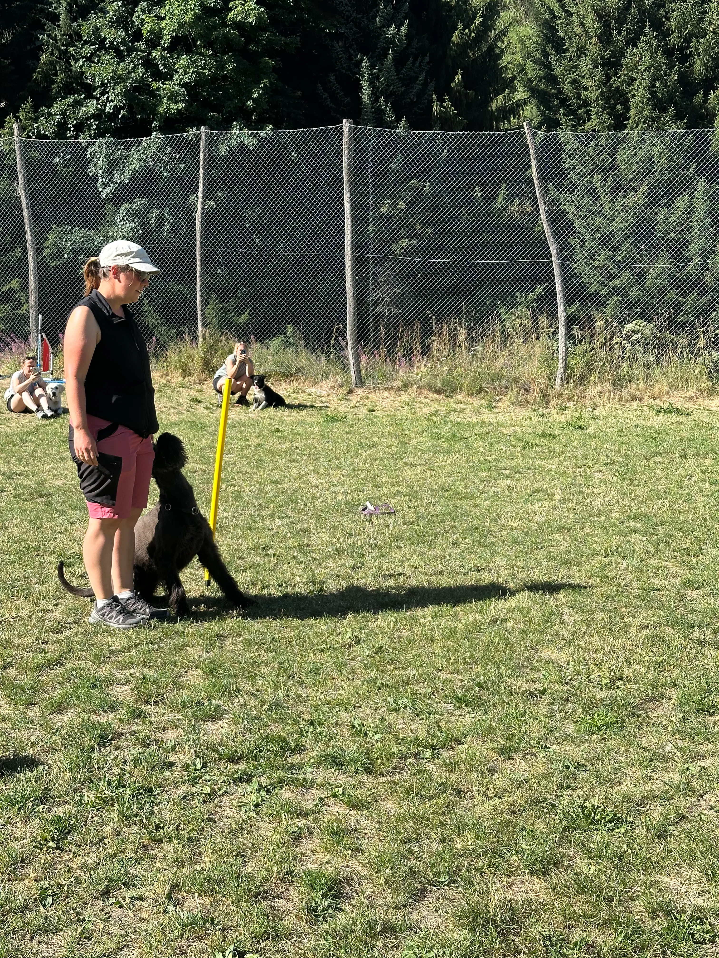 Das Bild zeigt eine Frau, die in einem Feld mit einem Hund an der Leine steht. Sie trägt ein schwarzes und rosa Kleid und eine weiße Mütze. Der Hund ist schwarz und braun in Farbe und steht auf dem Gras. Links von der Frau ist ein Netzzaun und rechts sind Bäume. Hunderassen: Hund, Hund. Aktivität: Chillen (chill).