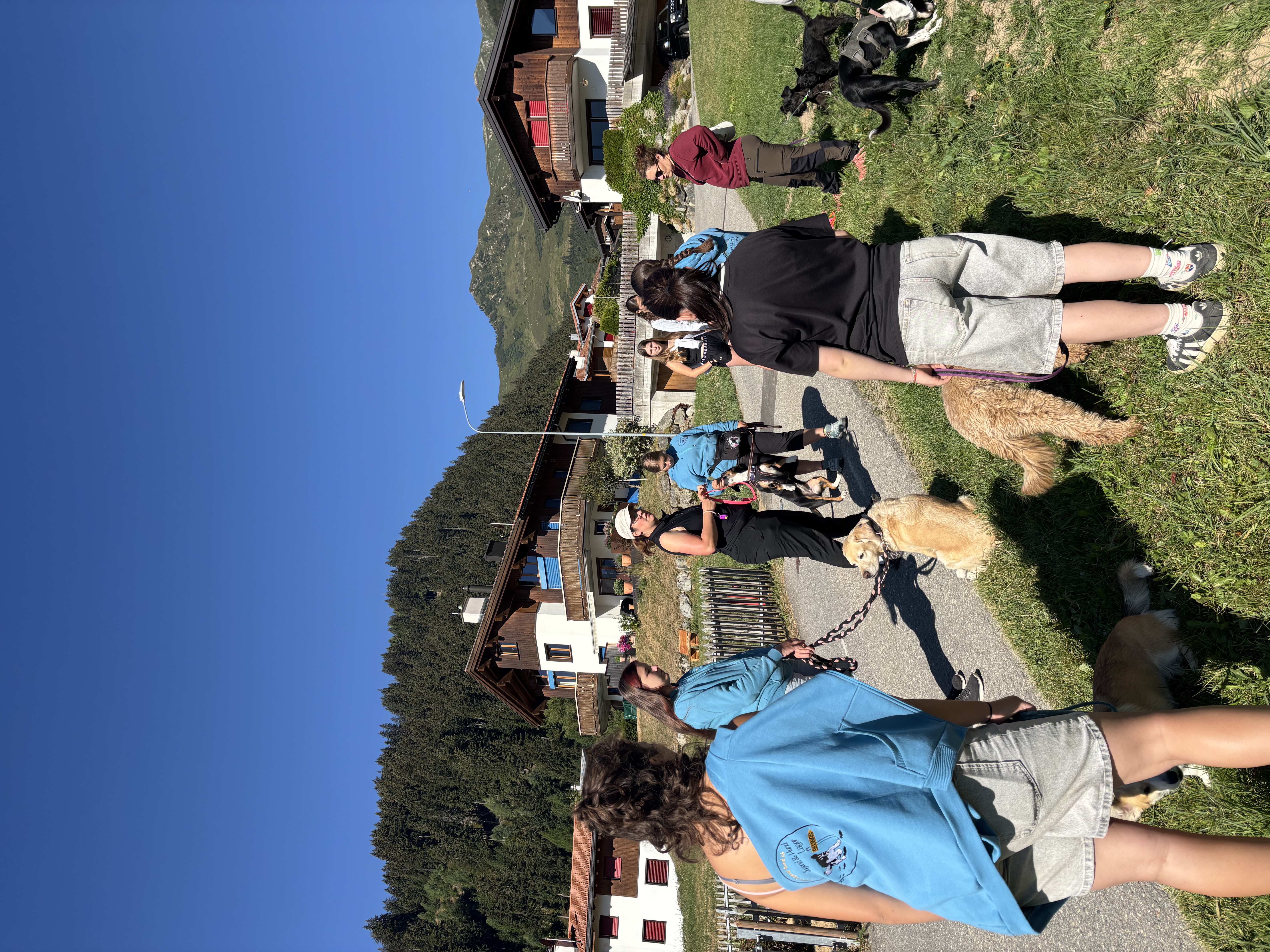 Das Bild zeigt eine Gruppe von Menschen, die mit ihren Hunden eine Straße entlang gehen, von denen einige Turnschuhe tragen. Die Straße ist von Gebäuden, Bäumen und einem Zaun gesäumt, und der Himmel ist im Hintergrund sichtbar. Hunderassen: Hund. Aktivität: Chillen (chill).