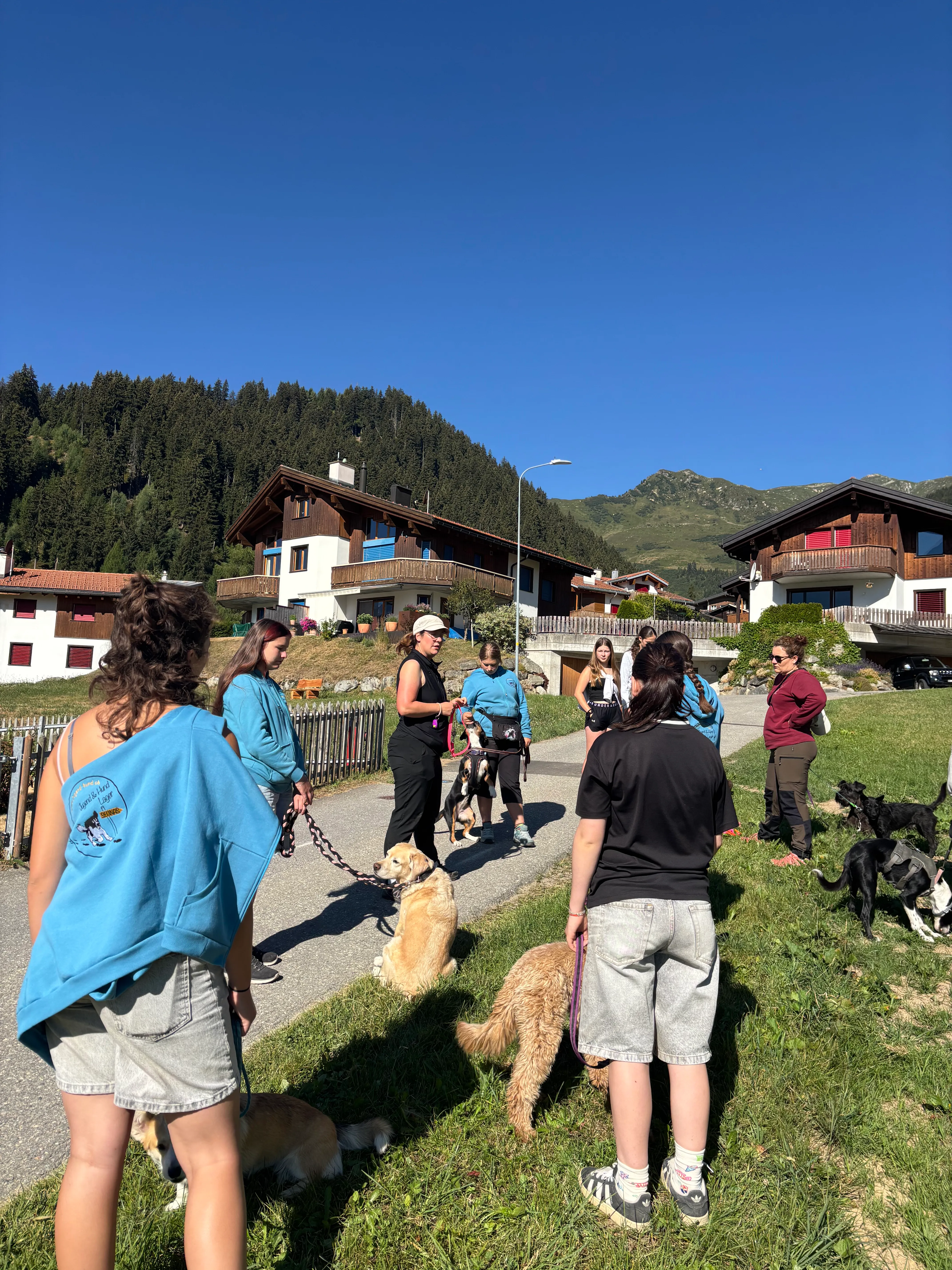 Das Bild zeigt eine Gruppe von Menschen, die mit ihren Hunden eine Straße entlang gehen, von denen einige Turnschuhe tragen. Die Straße ist von Gebäuden, Bäumen und einem Zaun gesäumt, und der Himmel ist im Hintergrund sichtbar. Hunderassen: Hund. Aktivität: Chillen (chill).
