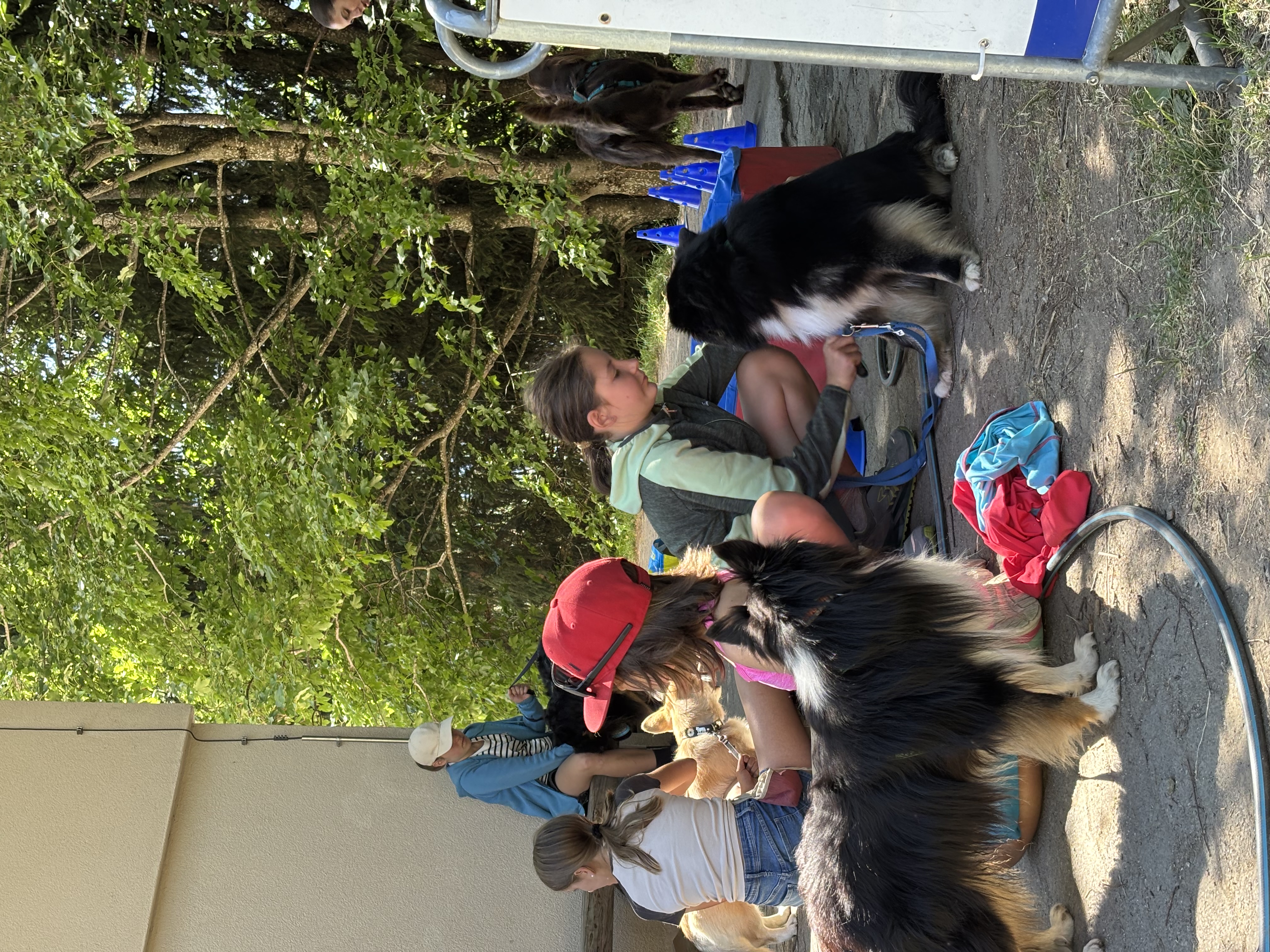 Das Bild zeigt eine Gruppe von Menschen, die um einen Hund an der Leine stehen. Es gibt zwei Personen, die Mützen tragen, von denen einer einen Hund hält, und um sie herum sind Taschen und andere Gegenstände verstreut. Im Hintergrund gibt es Bäume und einen klaren blauen Himmel. Hunderassen: Hund, Afghane, Hund. Aktivität: Chillen (chill).