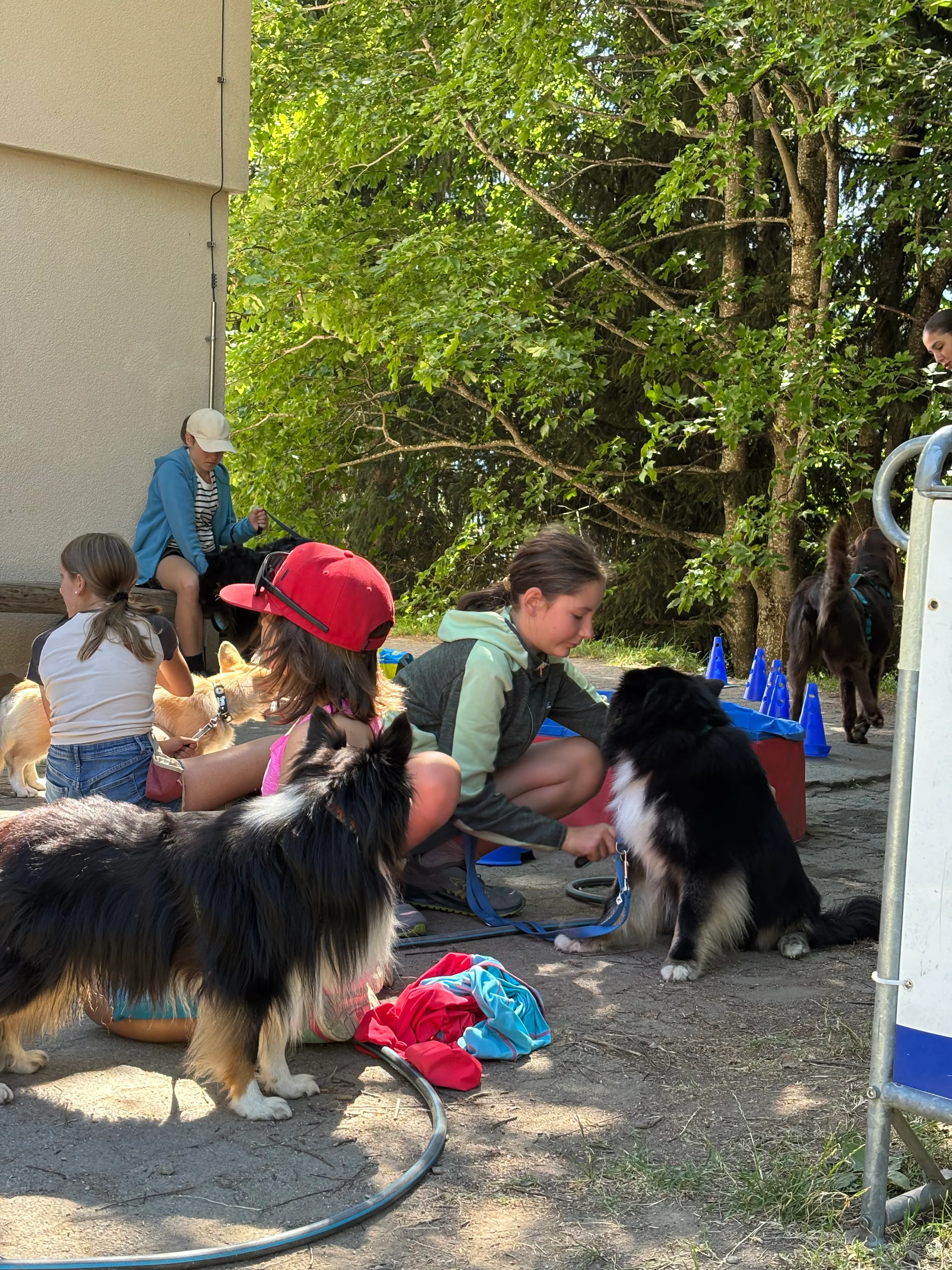 Das Bild zeigt eine Gruppe von Menschen, die um einen Hund an der Leine stehen. Es gibt zwei Personen, die Mützen tragen, von denen einer einen Hund hält, und um sie herum sind Taschen und andere Gegenstände verstreut. Im Hintergrund gibt es Bäume und einen klaren blauen Himmel. Hunderassen: Hund, Afghane, Hund. Aktivität: Chillen (chill).