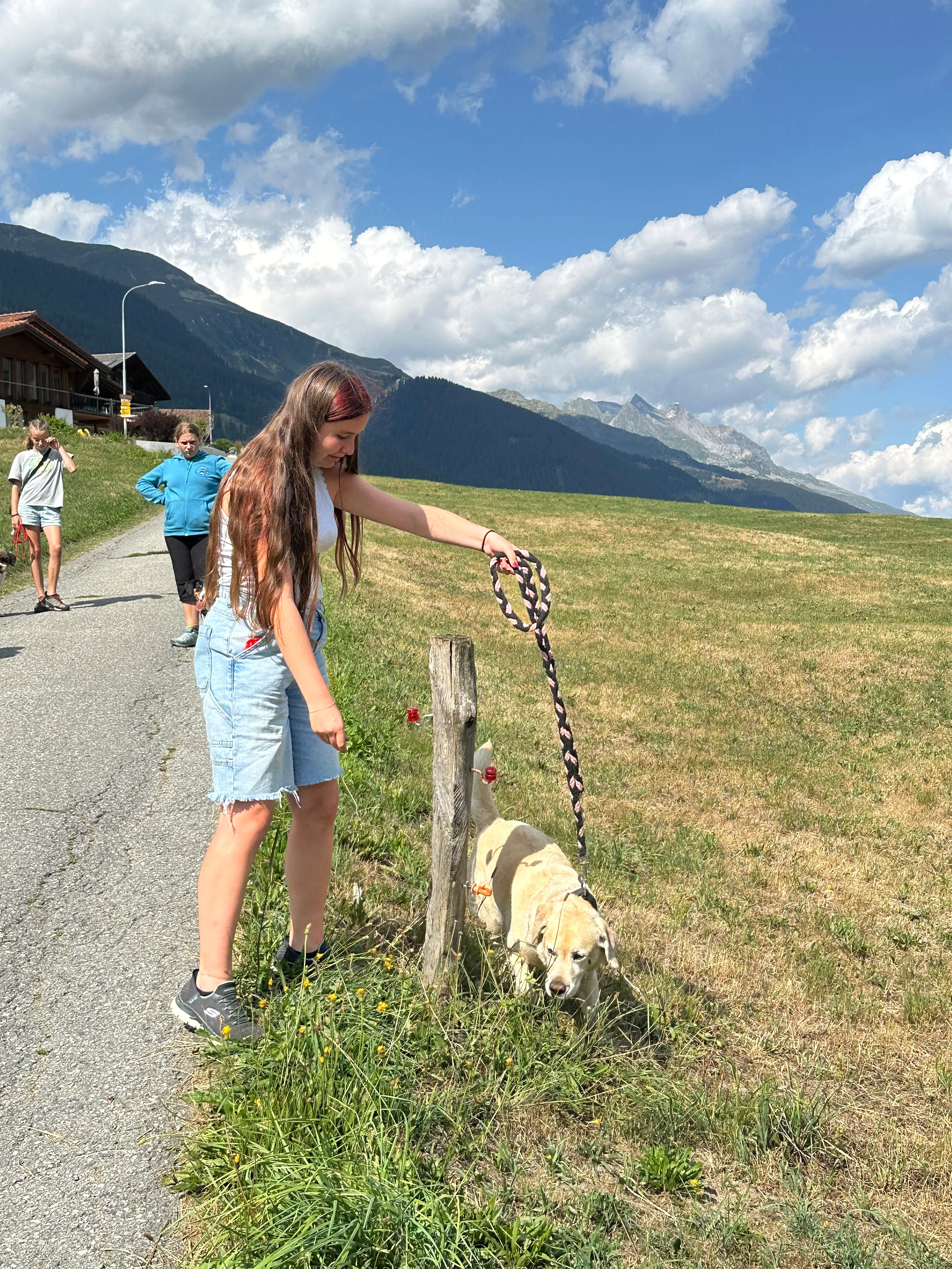 Das Bild zeigt eine Frau, die auf der Seite einer Straße neben einem Berg steht und eine Leine in der Hand hält. Sie trägt Turnschuhe und einen Hut, und im Hintergrund stehen ein paar Leute. Der Himmel ist mit Wolken gefüllt und der Boden ist mit Gras bedeckt. Hunderassen: Hund. Aktivität: Wandern (hiking).