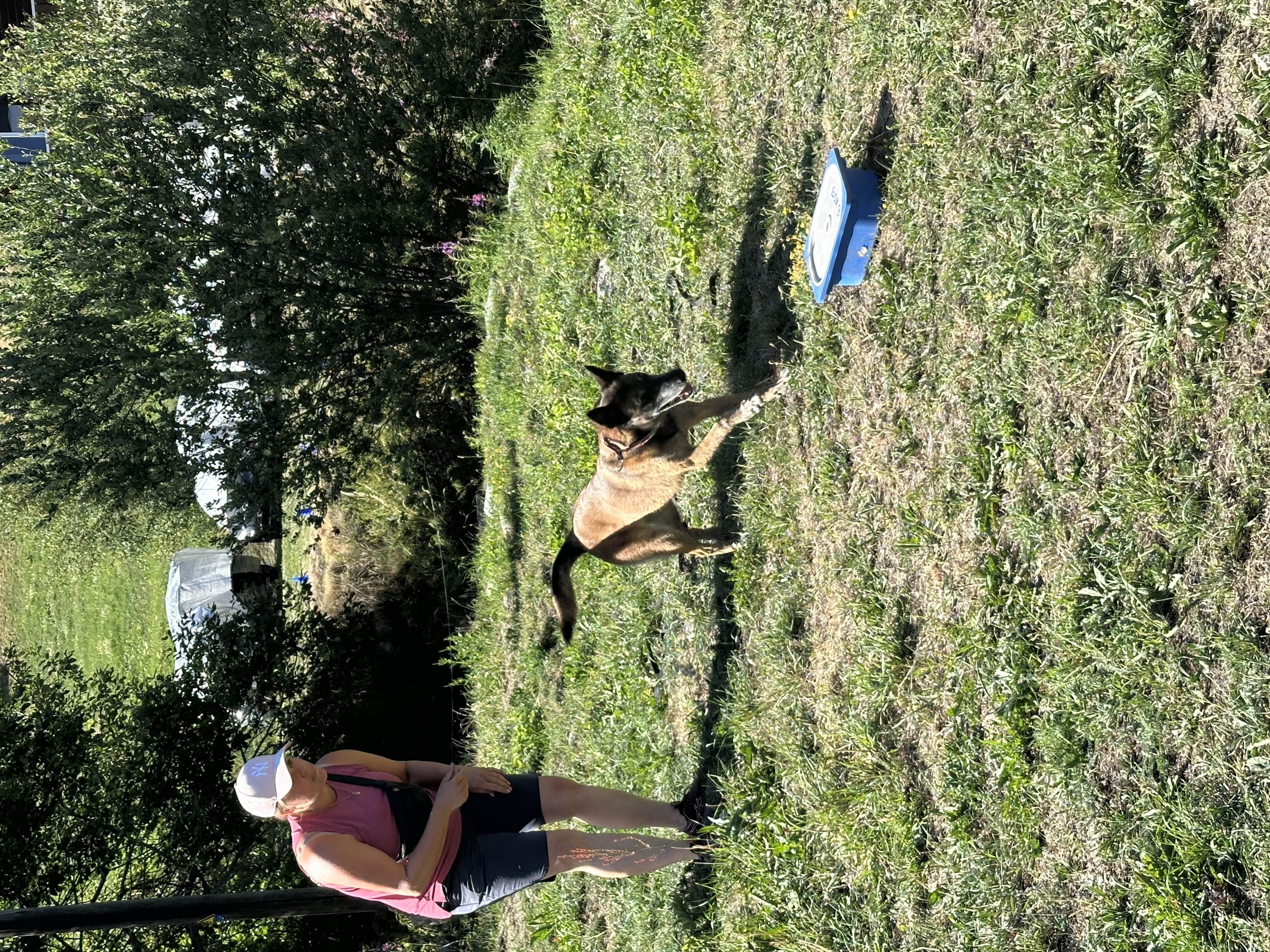 Das Bild zeigt eine Frau, die mit einem Hund im Gras steht und ein rosa-schwarzes Kleid und eine weiße Mütze trägt. Im Hintergrund stehen Bäume, ein blaues Objekt und ein paar andere Objekte. Die Frau scheint eine Pause vom Training zu nehmen, da sie den Hund in den Armen hält. Hunderassen: Malinois. Aktivität: Chillen (chill).