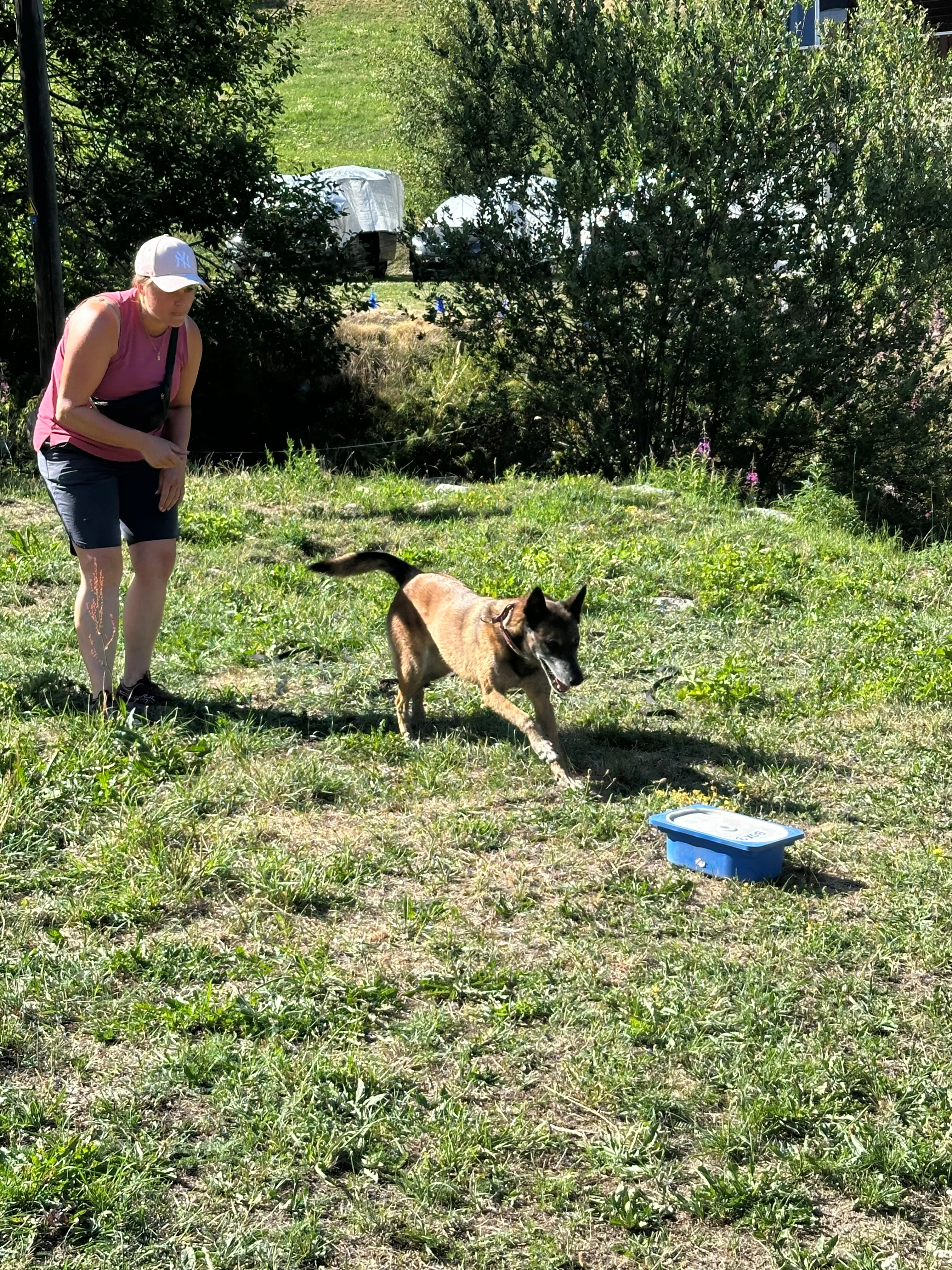 Das Bild zeigt eine Frau, die mit einem Hund im Gras steht und ein rosa-schwarzes Kleid und eine weiße Mütze trägt. Im Hintergrund stehen Bäume, ein blaues Objekt und ein paar andere Objekte. Die Frau scheint eine Pause vom Training zu nehmen, da sie den Hund in den Armen hält. Hunderassen: Malinois. Aktivität: Chillen (chill).