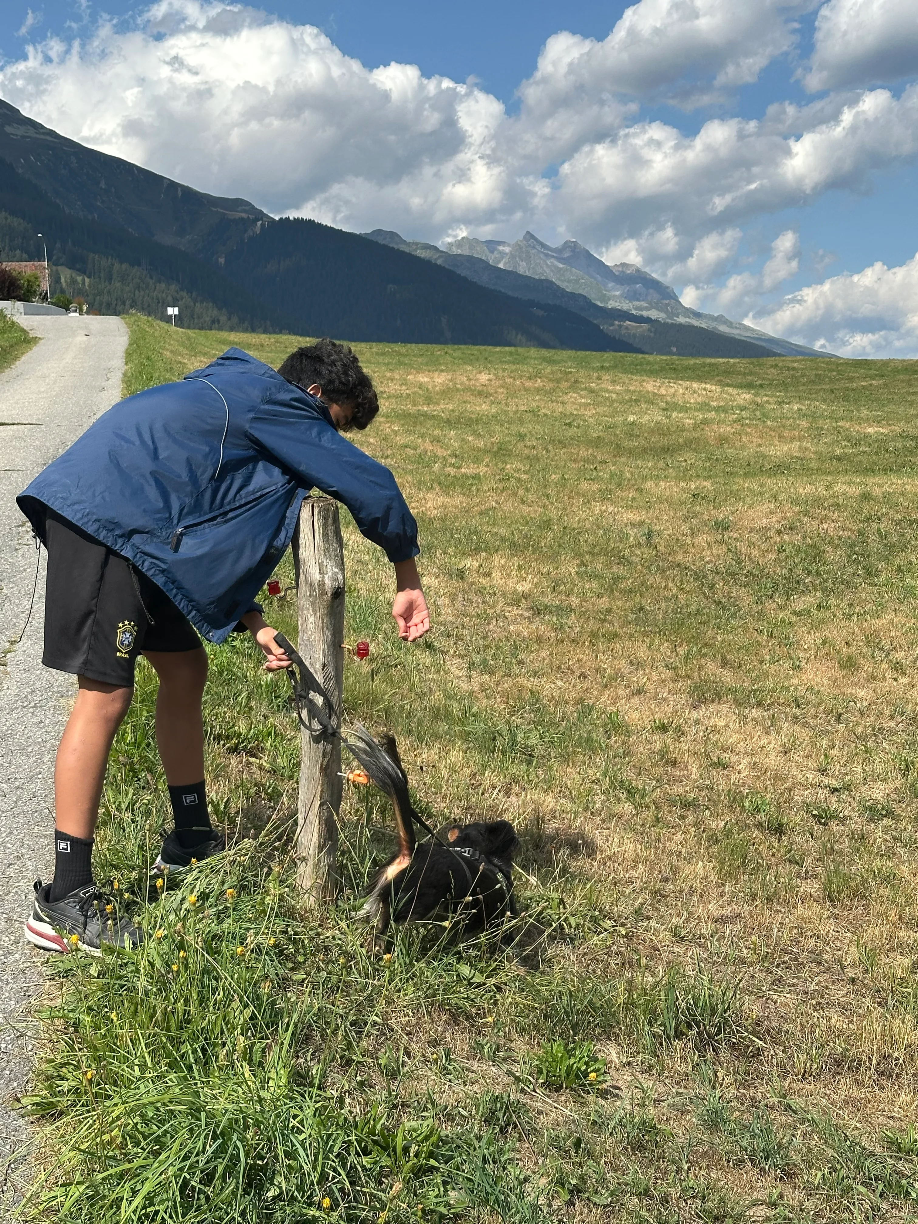 Das Bild zeigt einen Mann, der auf der Seite einer Straße neben einem Berg steht und eine blaue Jacke und schwarze Shorts trägt. Er hält ein schwarzes Objekt in der Hand und es steht ein Hund neben ihm. Der Himmel ist eine Mischung aus blau und weiß, und der Berg ist im Hintergrund sichtbar. Hunderassen: Hund. Aktivität: Wandern (hiking).