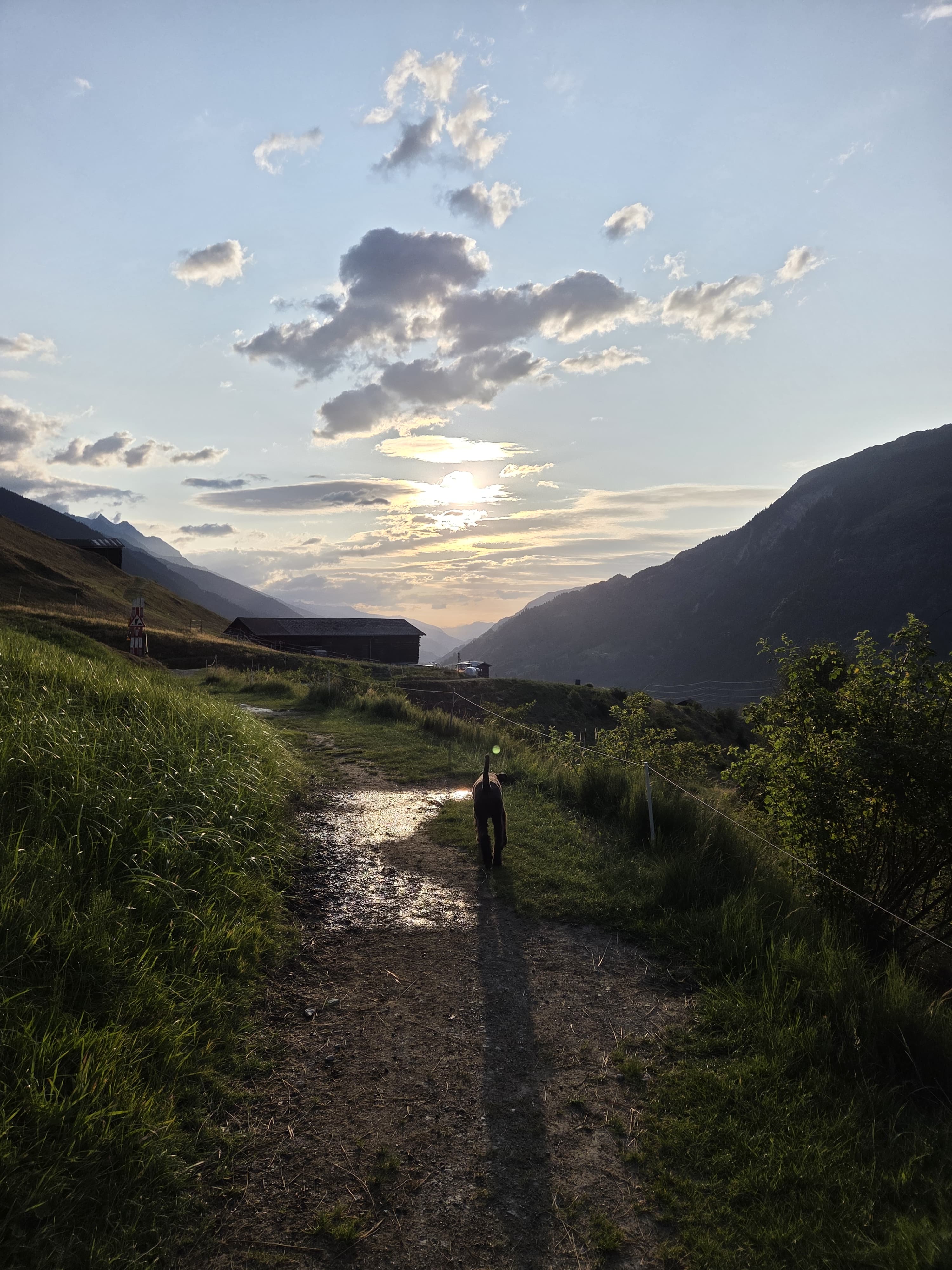 Das Bild zeigt eine Person, die eine unbefestigte Straße hinunter in den Bergen geht, umgeben von üppigem grünem Gras und Pflanzen auf beiden Seiten. Im Hintergrund gibt es Hügel und ein Haus, und der Himmel ist mit Wolken gefüllt und die Sonne untergeht, wodurch eine schöne Kulisse für die Szene. Aktivität: Chillen (chill).