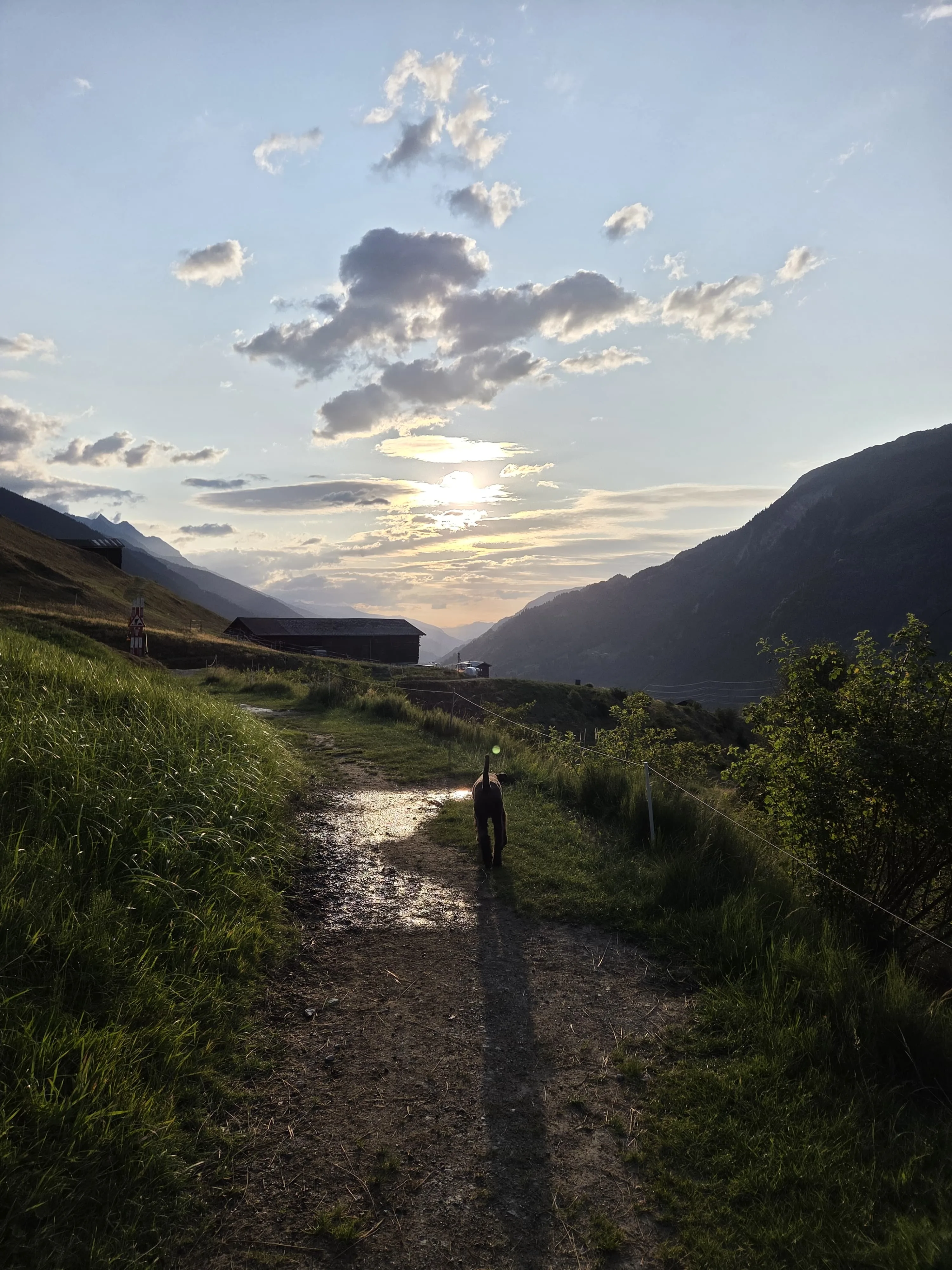 Das Bild zeigt eine Person, die eine unbefestigte Straße hinunter in den Bergen geht, umgeben von üppigem grünem Gras und Pflanzen auf beiden Seiten. Im Hintergrund gibt es Hügel und ein Haus, und der Himmel ist mit Wolken gefüllt und die Sonne untergeht, wodurch eine schöne Kulisse für die Szene. Aktivität: Chillen (chill).