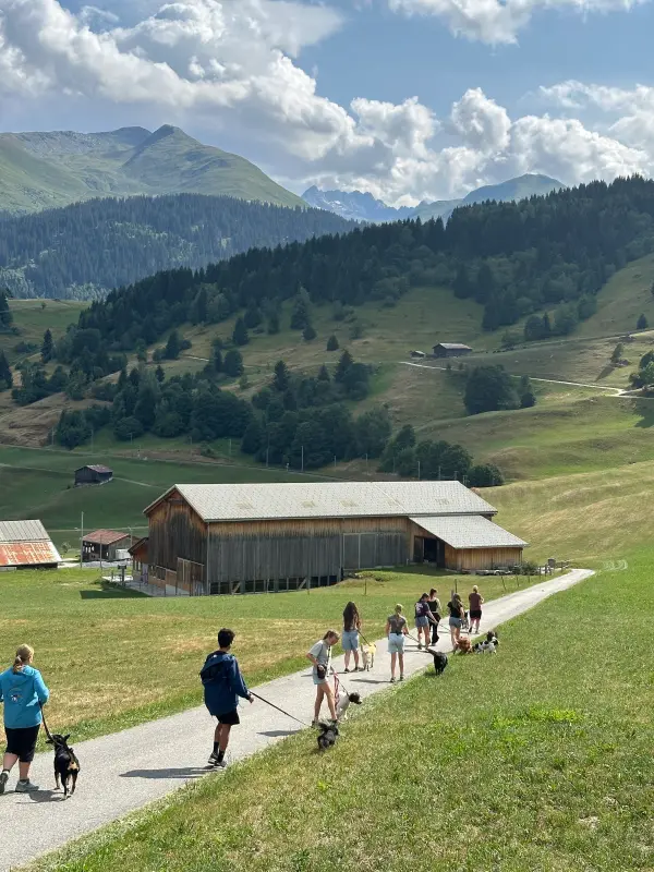 Eine Gruppe von Menschen, die einen Pfad entlang eines Berges gehen, mit einem Haus im Hintergrund. Wandern. – Jugend und Hund Lager 2026 in Segnas