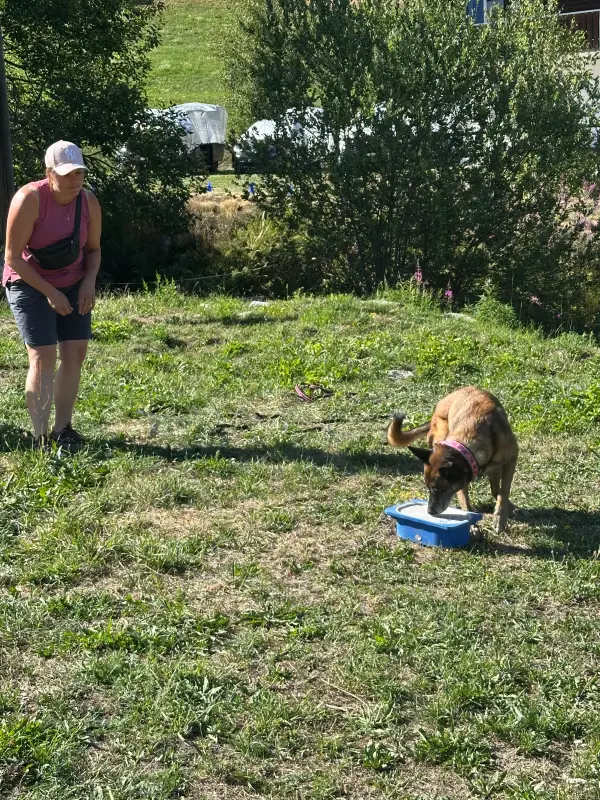 Eine Frau, die im Gras neben einem Hund steht, mit einem Eimer in der Hand. – Jugend und Hund Lager 2026 in Segnas