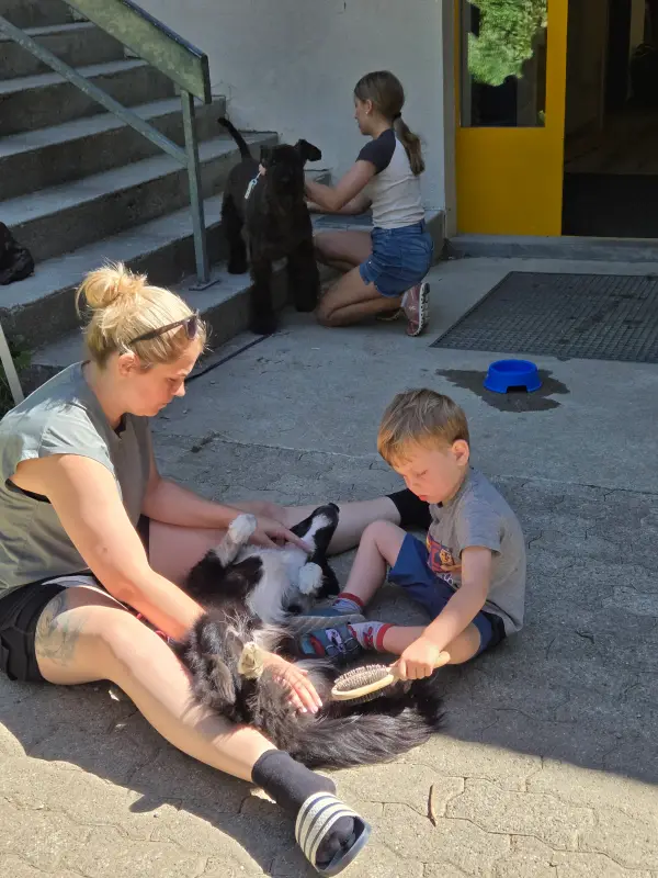 Eine Frau, die einen kleinen schwarz-weissen Hund in den Armen hält, während zwei Kinder in der Nähe stehen. – Jugend und Hund Lager 2026 in Segnas