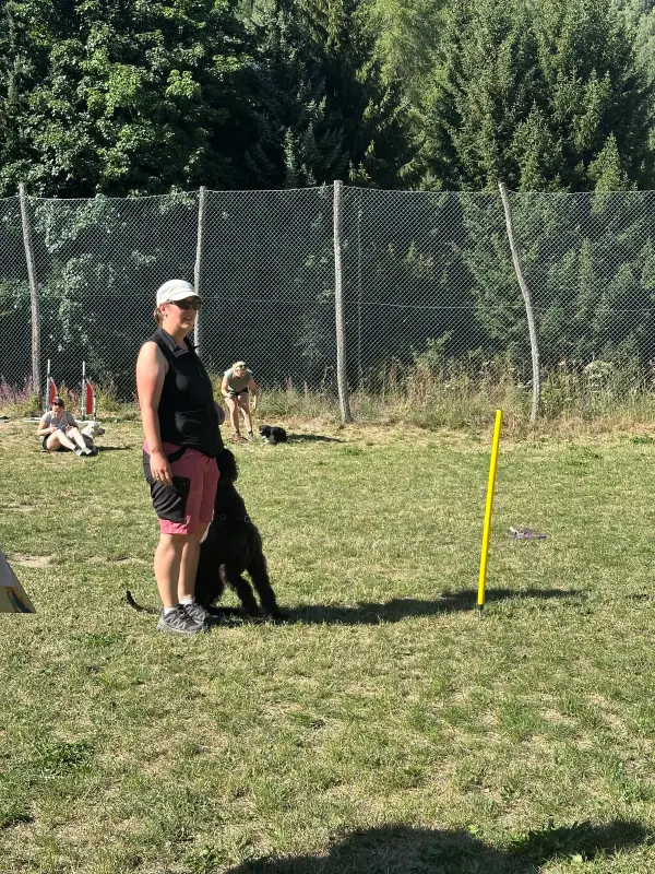 Das Bild zeigt einen Mann, der auf einem üppigen grünen Feld neben einem Zaun steht und ein schwarzes T-Shirt, rosa Shorts und eine weisse… – Jugend und Hund Lager 2026 in Segnas