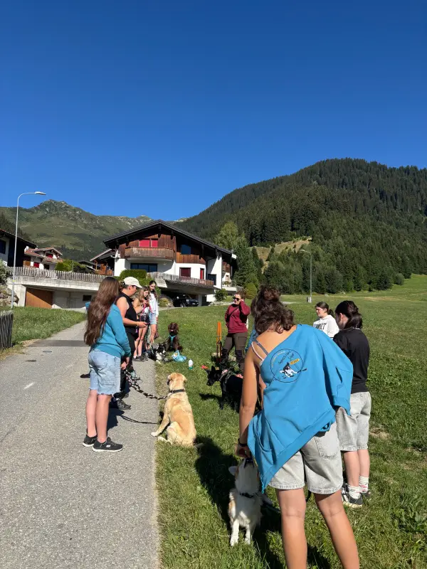 Eine Gruppe von Menschen, die mit ihren Hunden eine Strasse entlang gehen, die von Gras, Bäumen, Gebäuden, Stöcken und einem klaren blauen… – Jugend und Hund Lager 2026 in Segnas