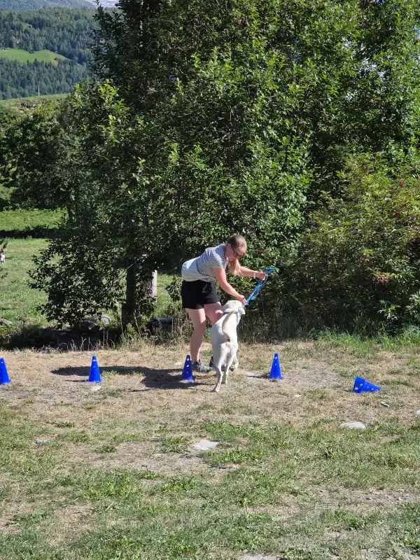 Eine Frau in einem weissen Hemd und schwarze Shorts stehen auf einem üppigen grünen Hügel, halten einen Hund in den Armen. – Jugend und Hund Lager 2026 in Segnas