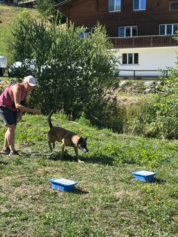 Eine Frau, die mit einem Hund im Gras steht und einen Hut trägt, der von Bäumen, Pflanzen und einem Gebäude mit Fenstern… Rasse: Malinois. – Jugend und Hund Lager 2026 in Segnas