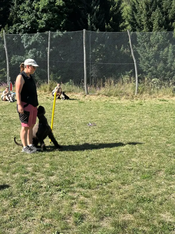 Eine Frau, die in einem Feld mit einem Hund an der Leine steht. – Jugend und Hund Lager 2026 in Segnas