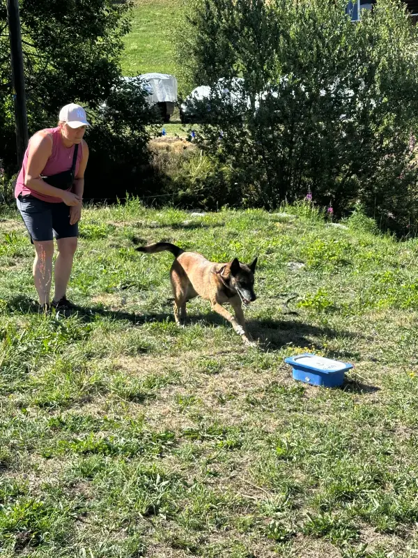 Eine Frau, die mit einem Hund im Gras steht und ein rosa-schwarzes Kleid und eine weisse Mütze trägt. Rasse: Malinois. – Jugend und Hund Lager 2026 in Segnas