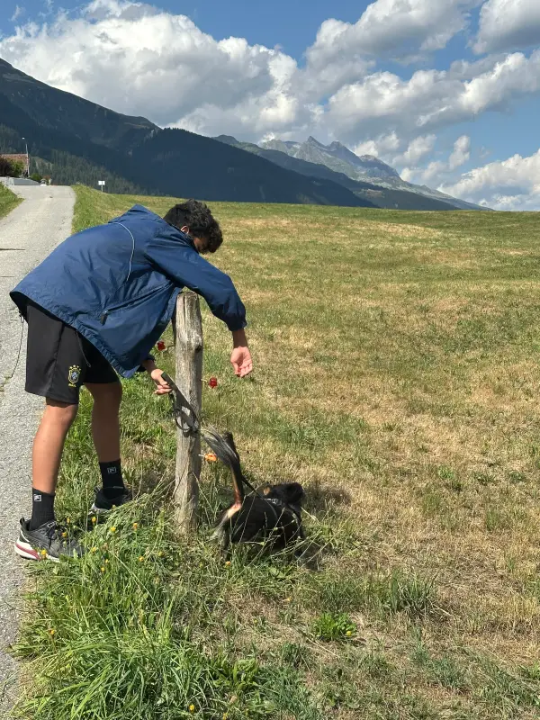 Das Bild zeigt einen Mann, der auf der Seite einer Strasse neben einem Berg steht und eine blaue Jacke und schwarze Shorts trägt. Wandern. – Jugend und Hund Lager 2026 in Segnas
