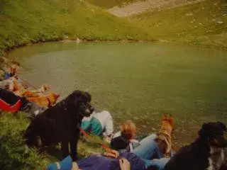 Eine Gruppe von Menschen, die auf einem Hügel am See sitzen. – Jugend und Hund Lager 2002 in Lenzerheide