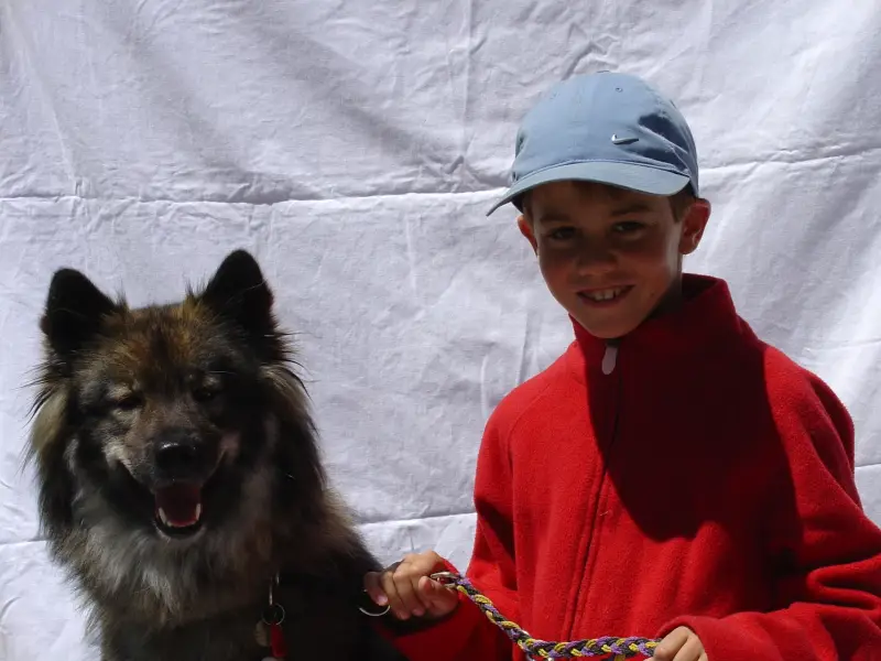 Ein Junge, ein Junge, ein Junge, ein Mädchen, ein Mädchen, ein Mädchen, ein Mädchen, ein Mädchen, ein Mädchen, ein Mädchen, ein… – Jugend und Hund Lager 2003 in Lenzerheide